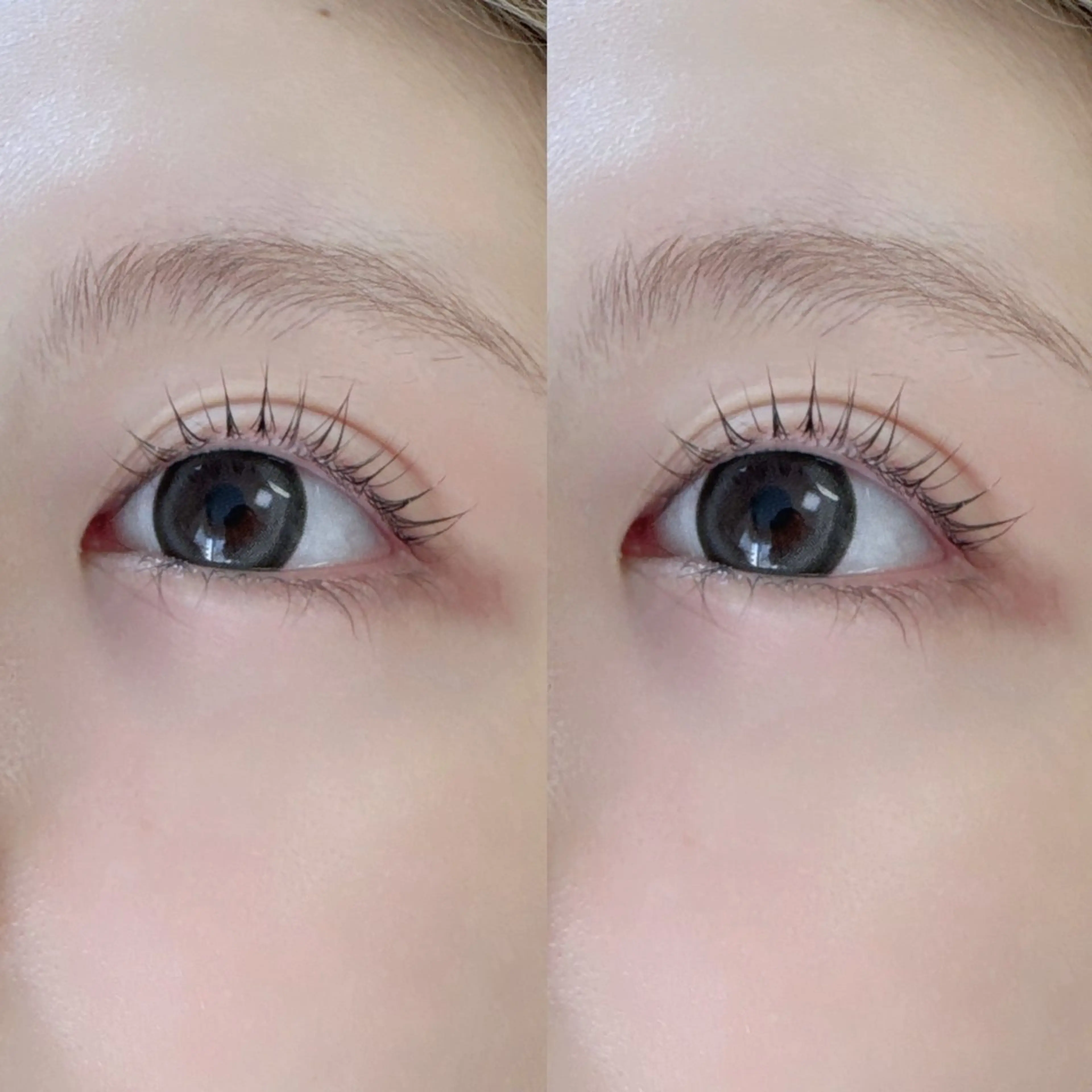 🧺アイブロウWAX+まつ毛パーマ上 🧸※90分꒰ 横浜元町 ꒱の写真