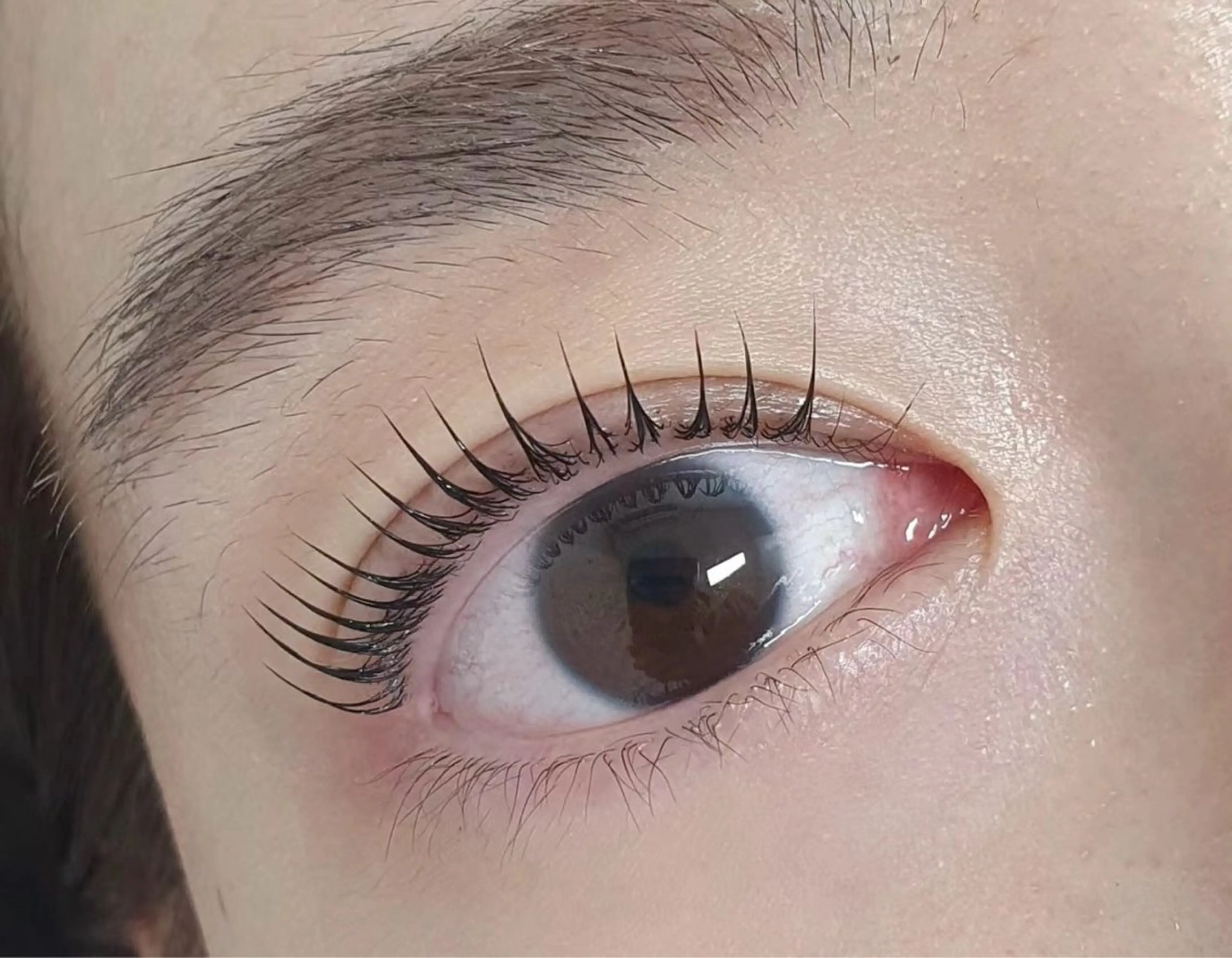 マツエク・マツパ ナチュラル パリジェンヌラッシュリフト まつげパーマ LB美容サロン 池袋東口店のマツエク・マツパデザイン