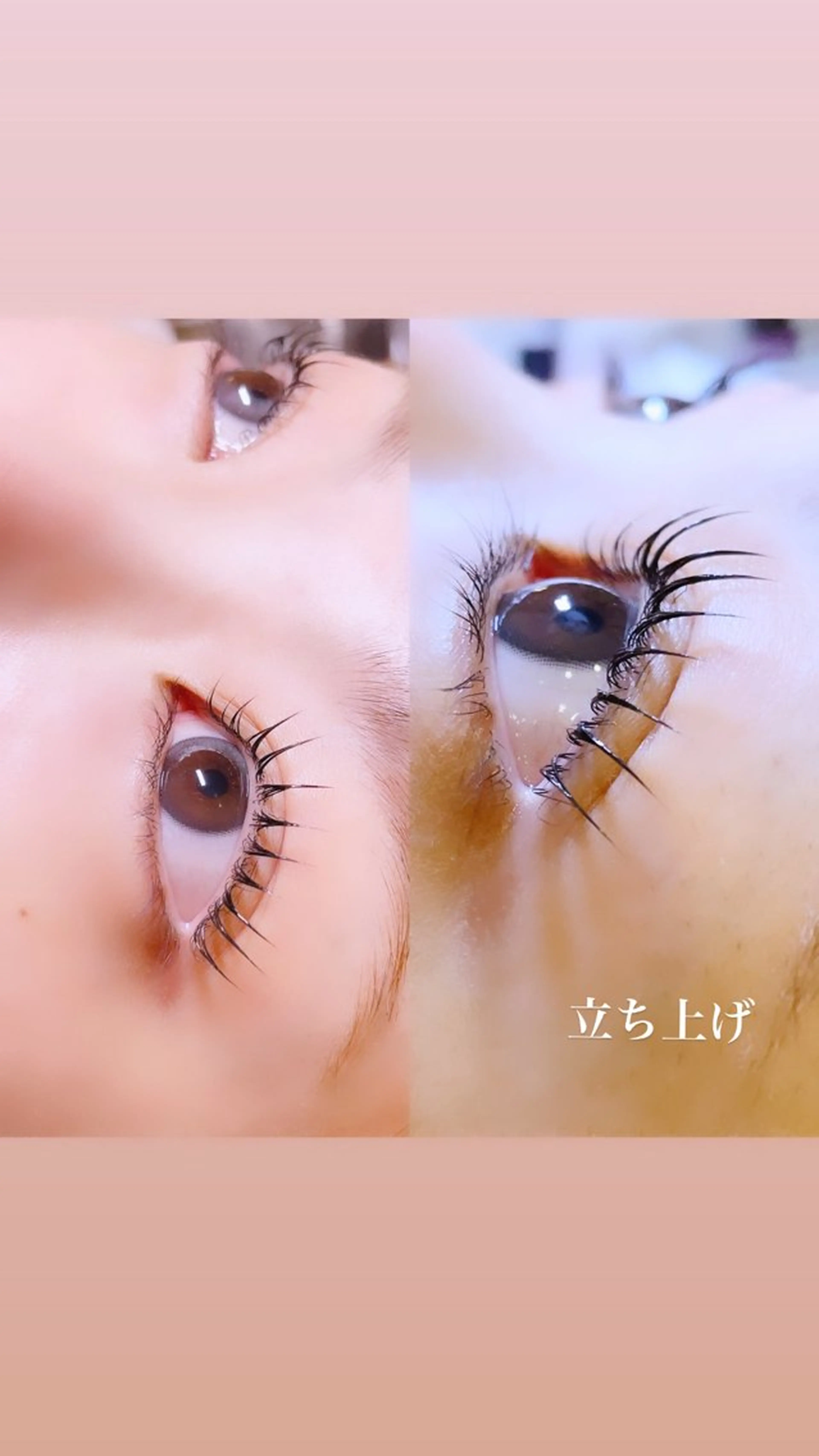 マツエク・マツパ 一重×まつ毛パーマ ロニセラ アイラッシュのマツエク・マツパデザイン