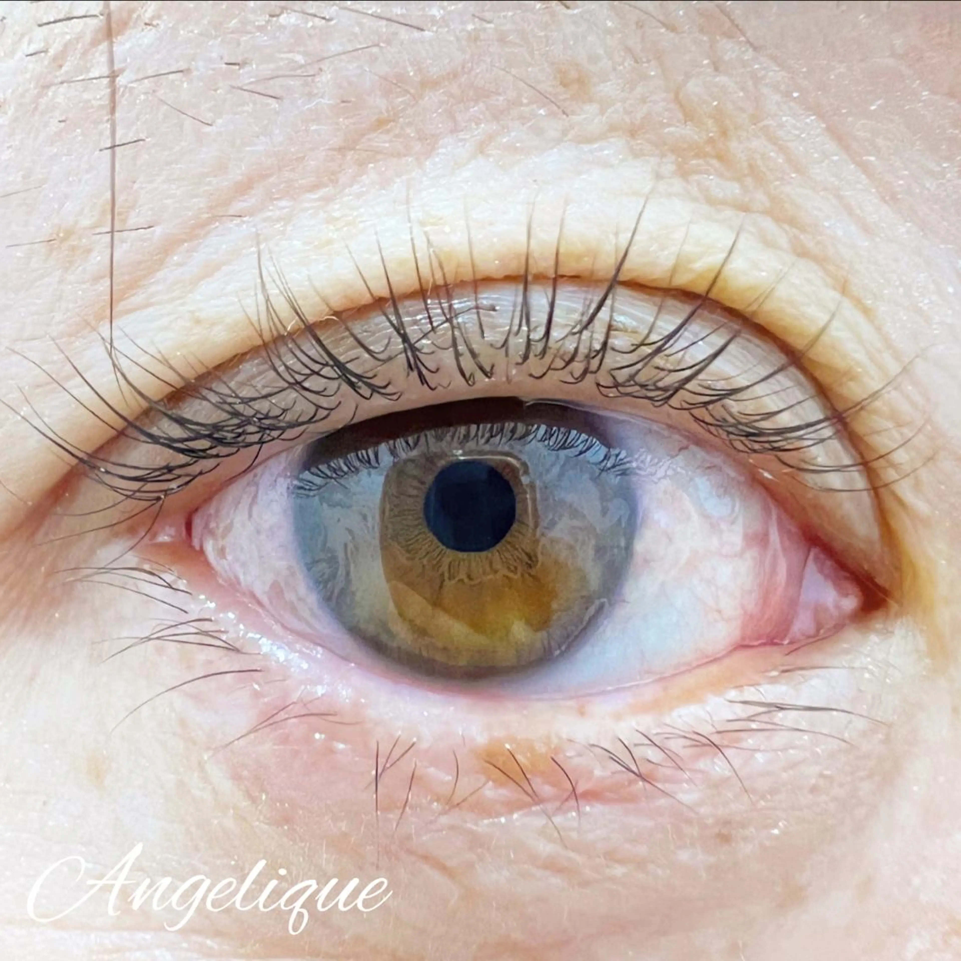 マツエク・マツパ 一重×まつ毛パーマ 田村 莉子のマツエク・マツパデザイン