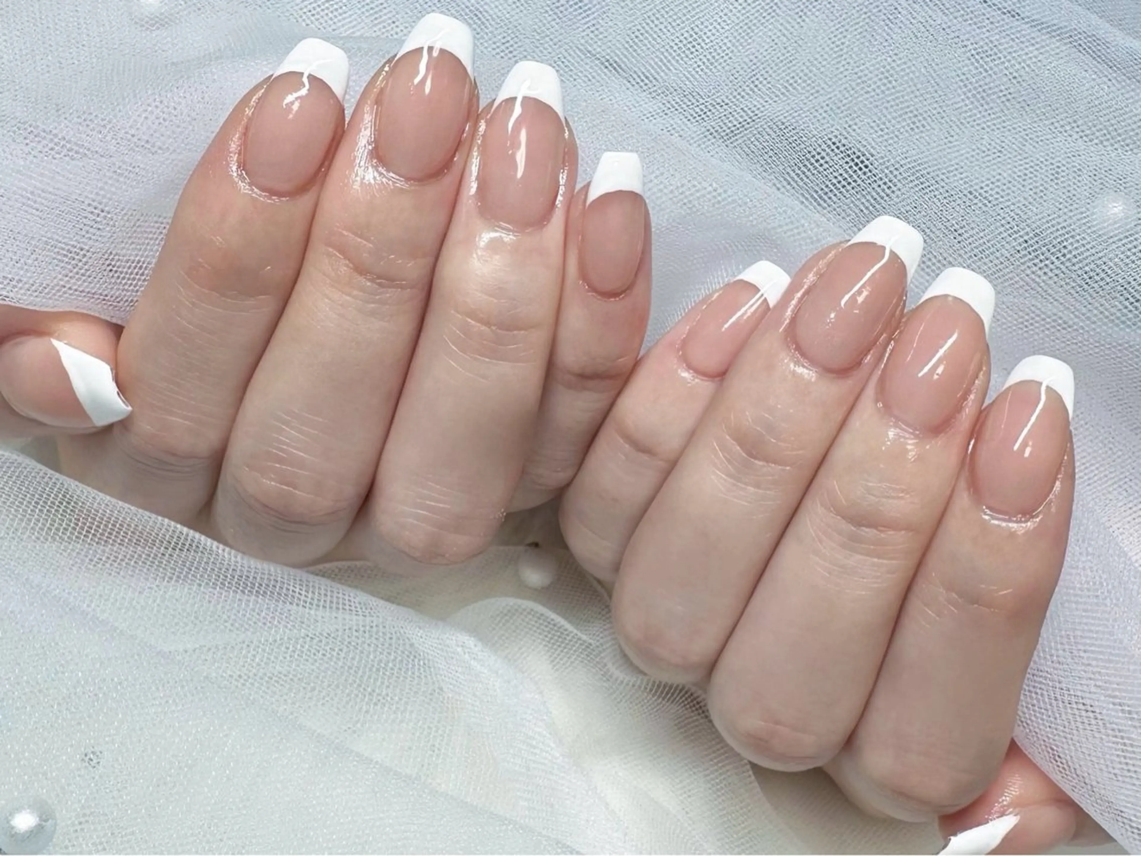 【オフあり】フレンチの写真