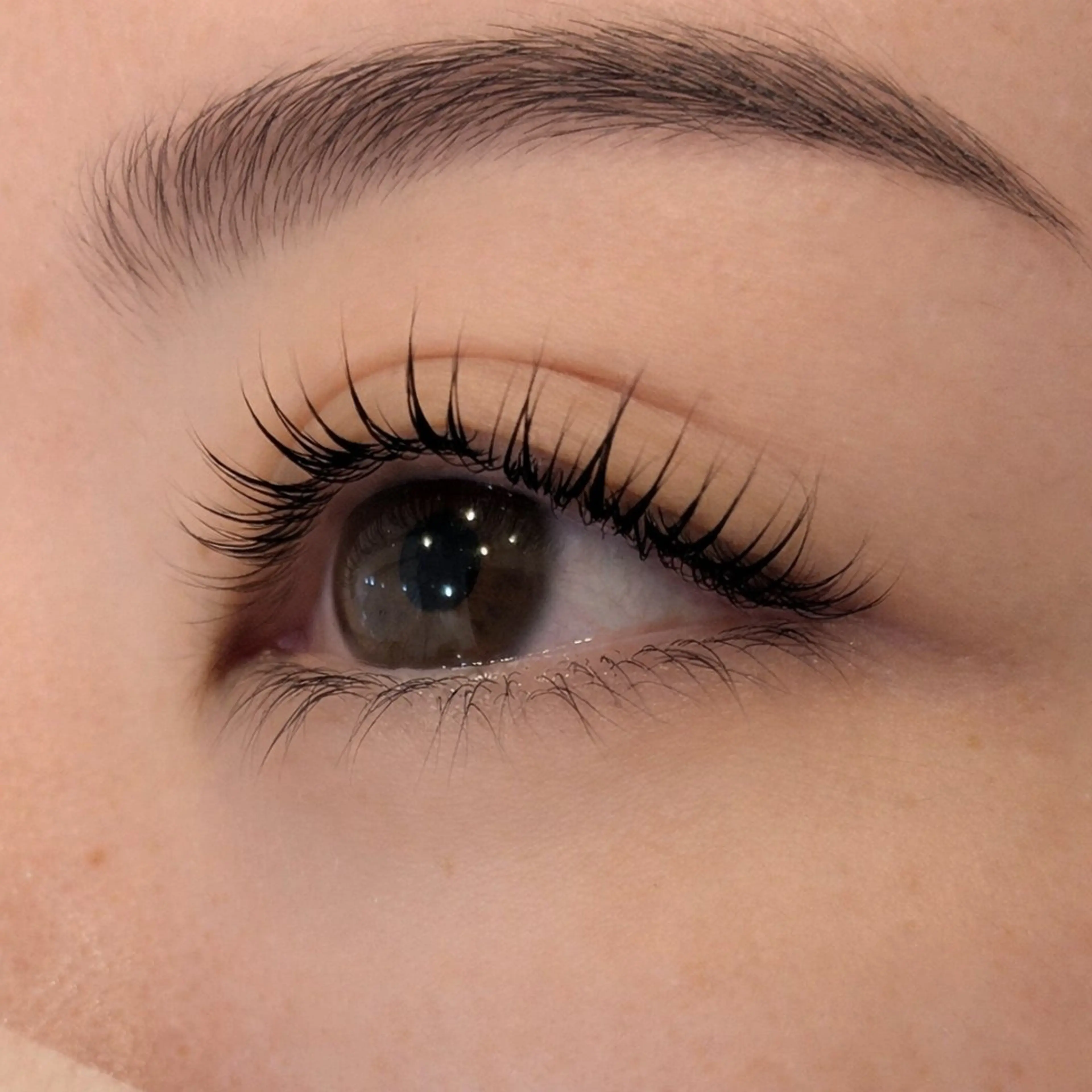 【平日限定☆】ラッシュリフト＋韓国🇰🇷Blackマスカラコーティング付の写真