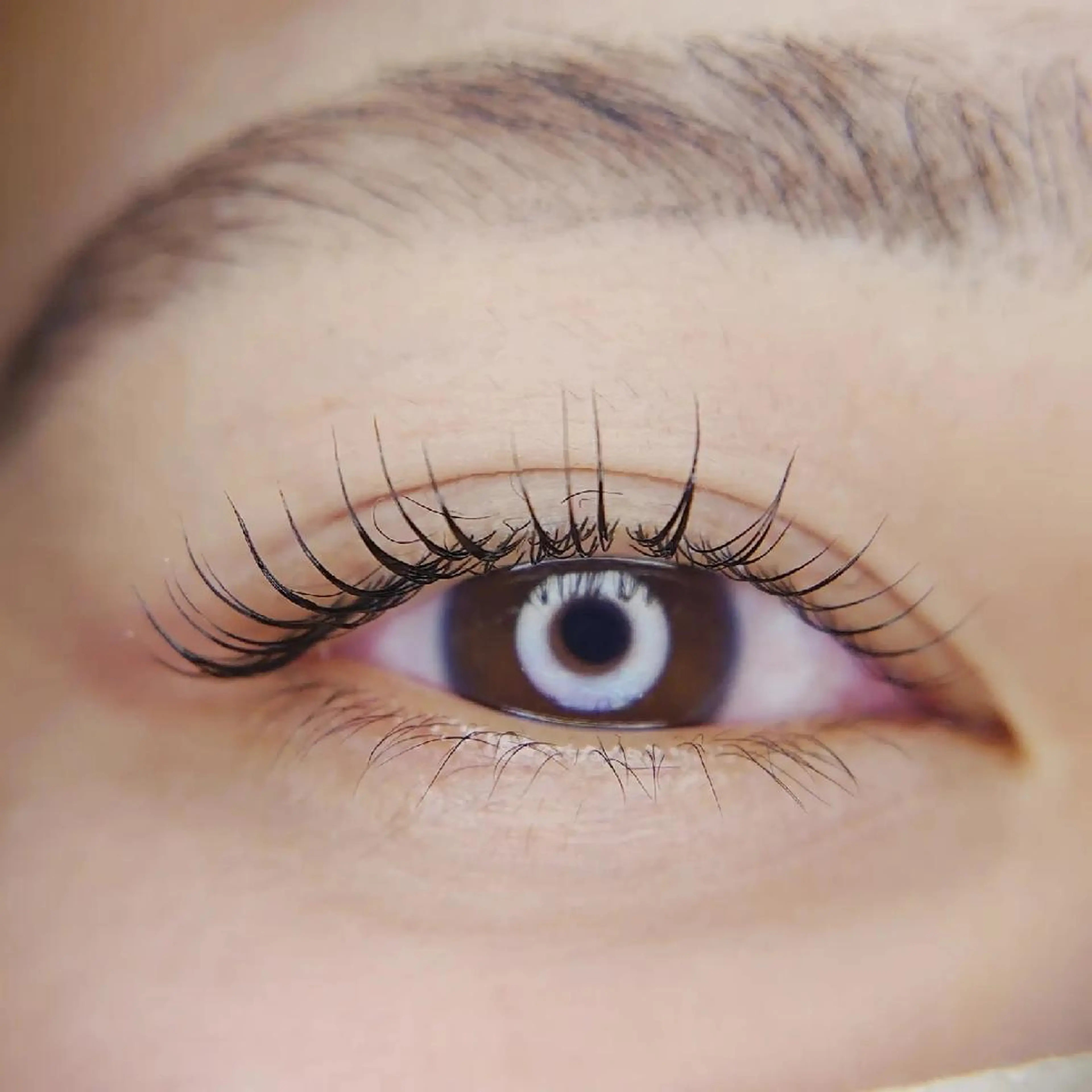 マツエク・マツパ マツパ Chelu TOMのマツエク・マツパデザイン