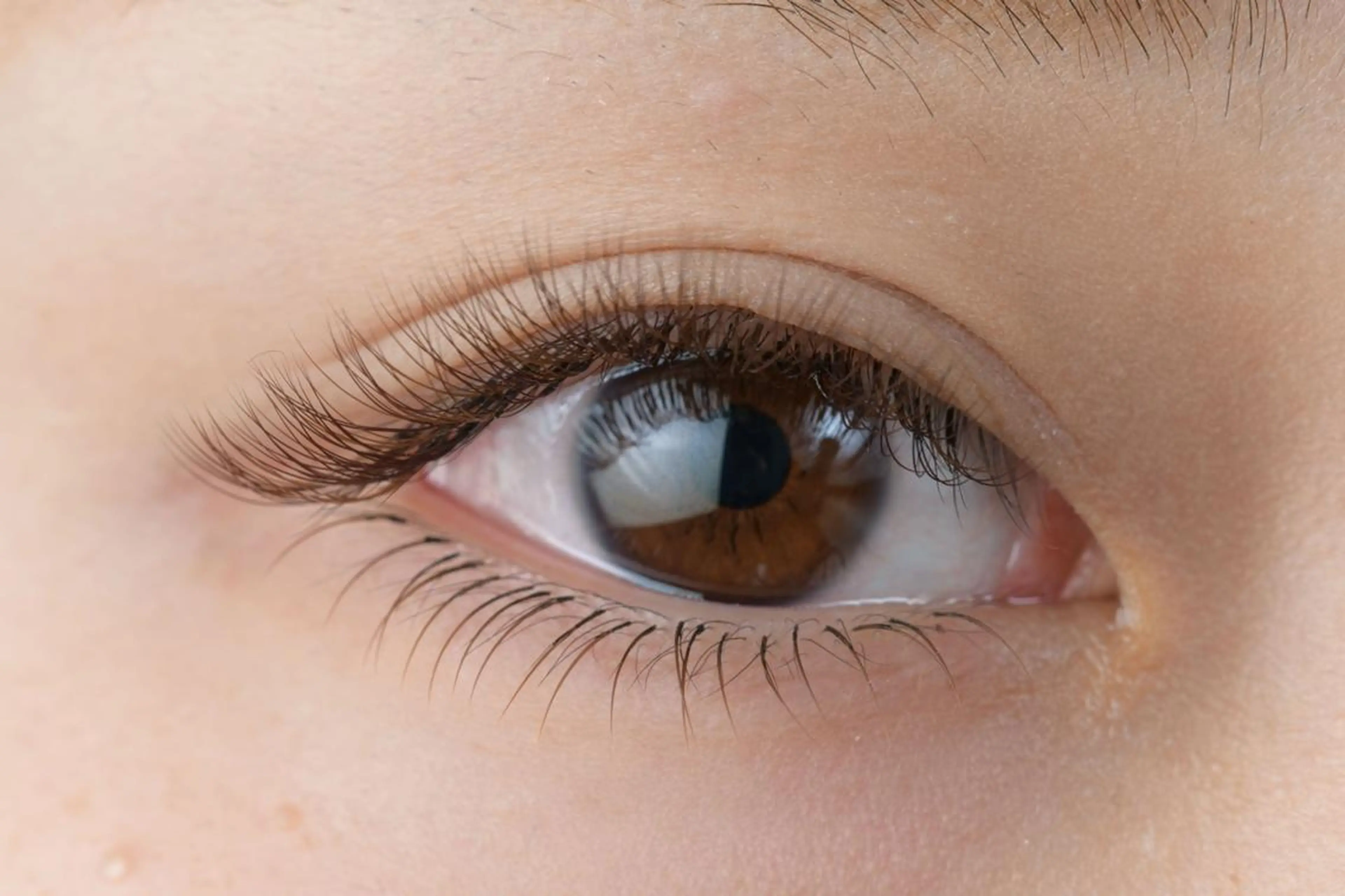 マツエク・マツパ ボリュームラッシュ アイサロン フェア 海老名店のマツエク・マツパデザイン