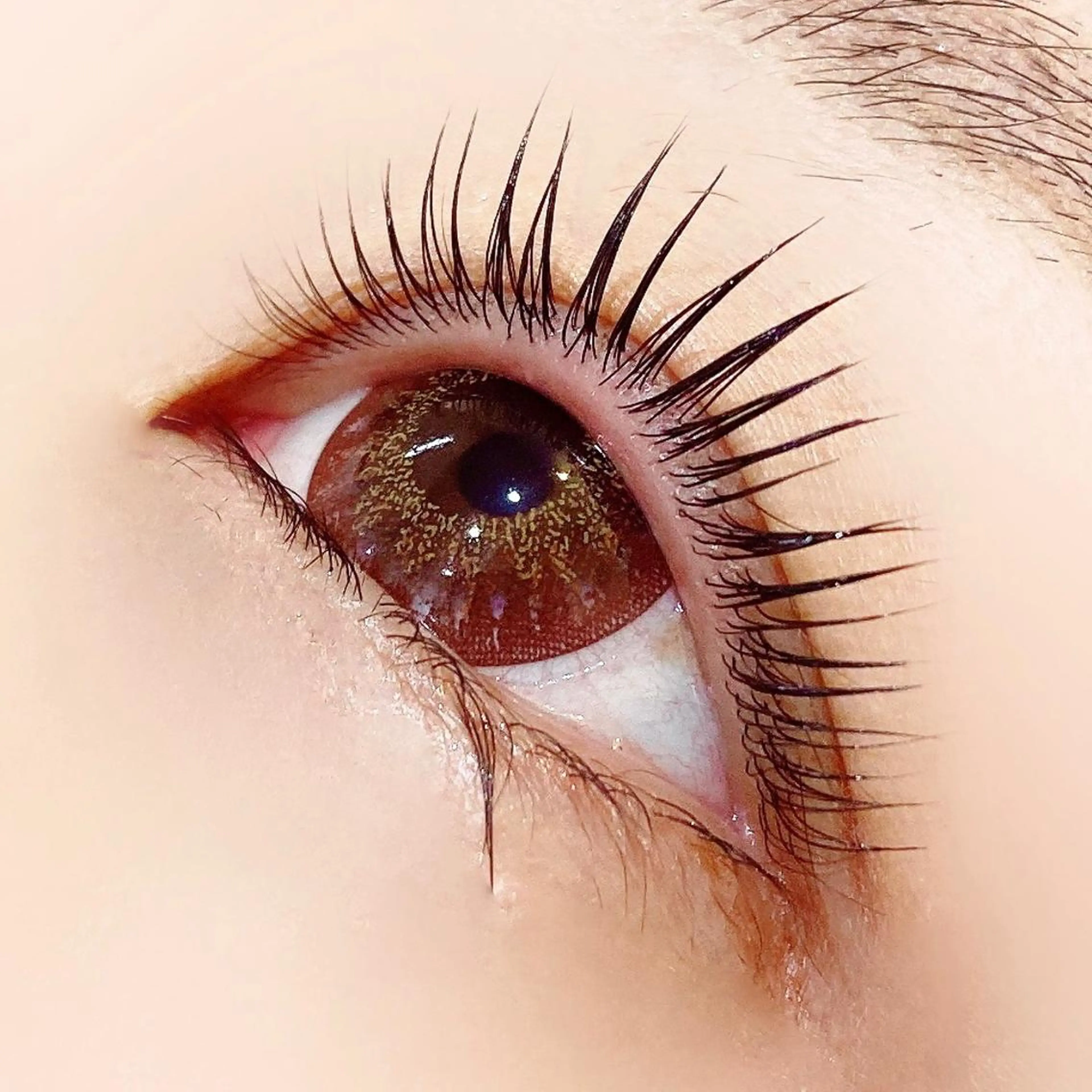 マツエク・マツパ パリジェンヌラッシュリフト マツパ 【myonsil】 Suzuki*のマツエク・マツパデザイン