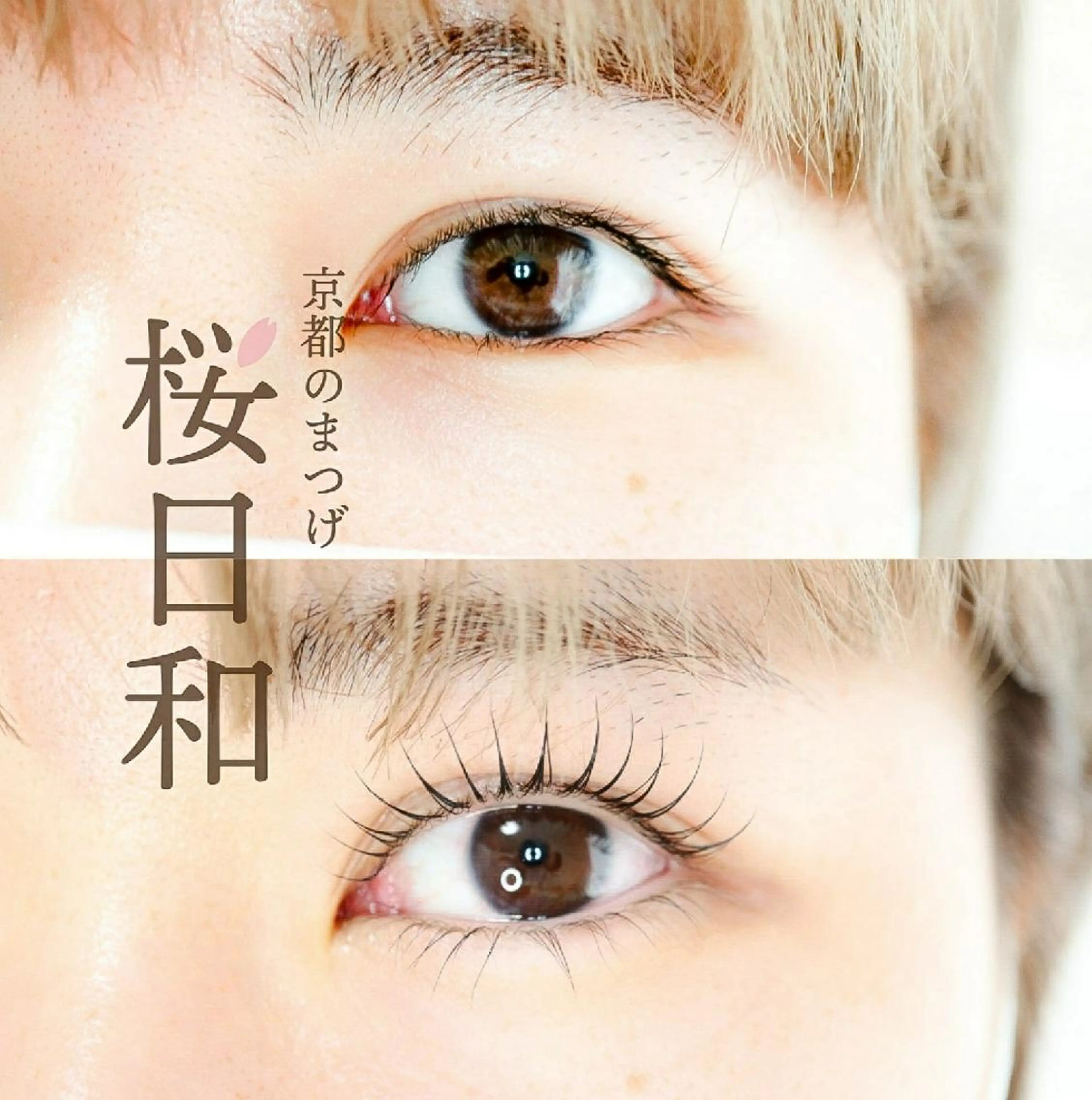 マツエク・マツパ カラーマツエク フラットラッシュ パリジェンヌラッシュリフト まつげパーマ 下まつげエクステ 京都のまつげ桜日和 小島美桜のマツエク・マツパデザイン