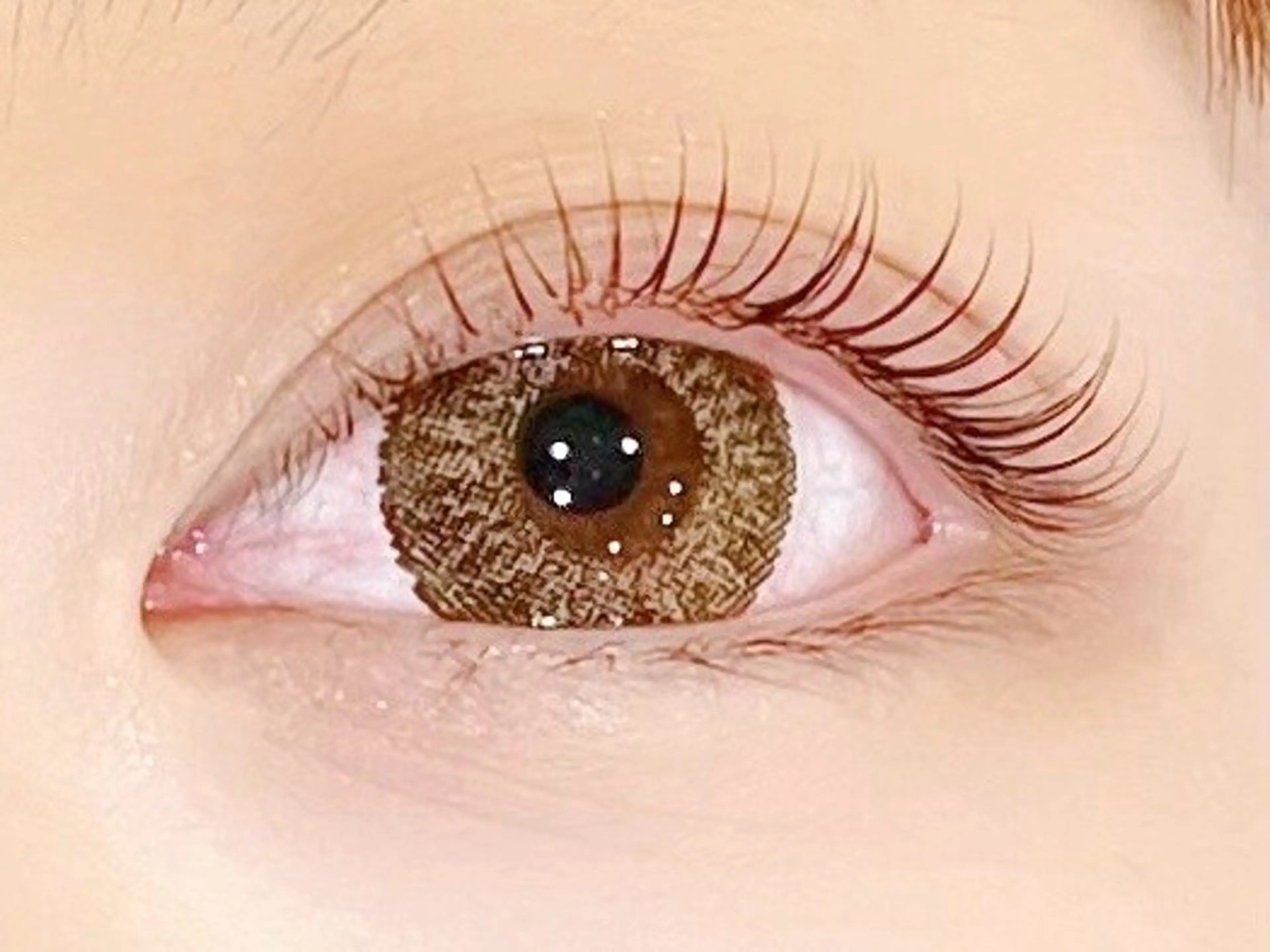 特別特価🌺12月限定クーポン🌈潤いまつげパーマ🉐2500の写真