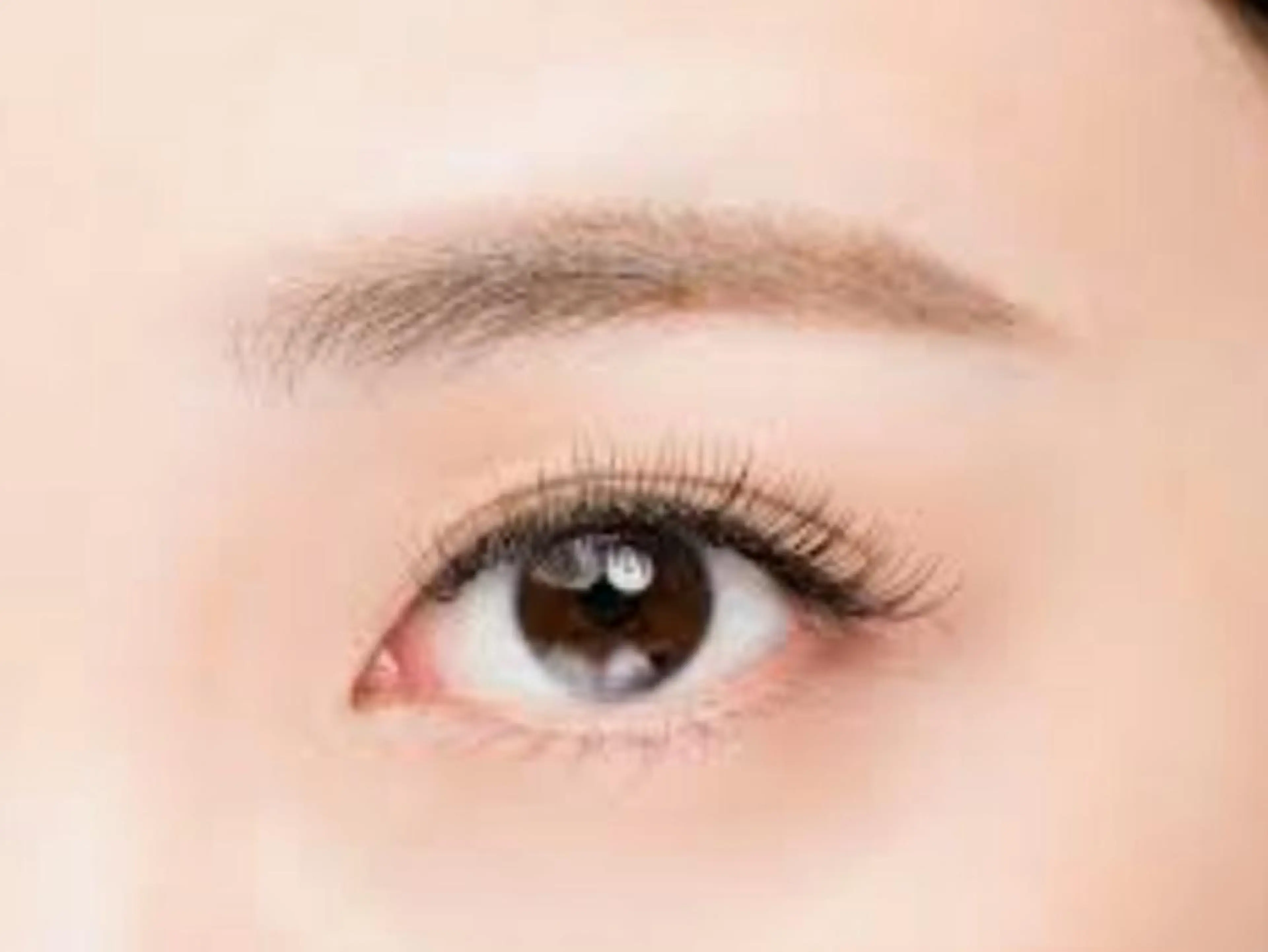 シングル80本　コーティング付の写真