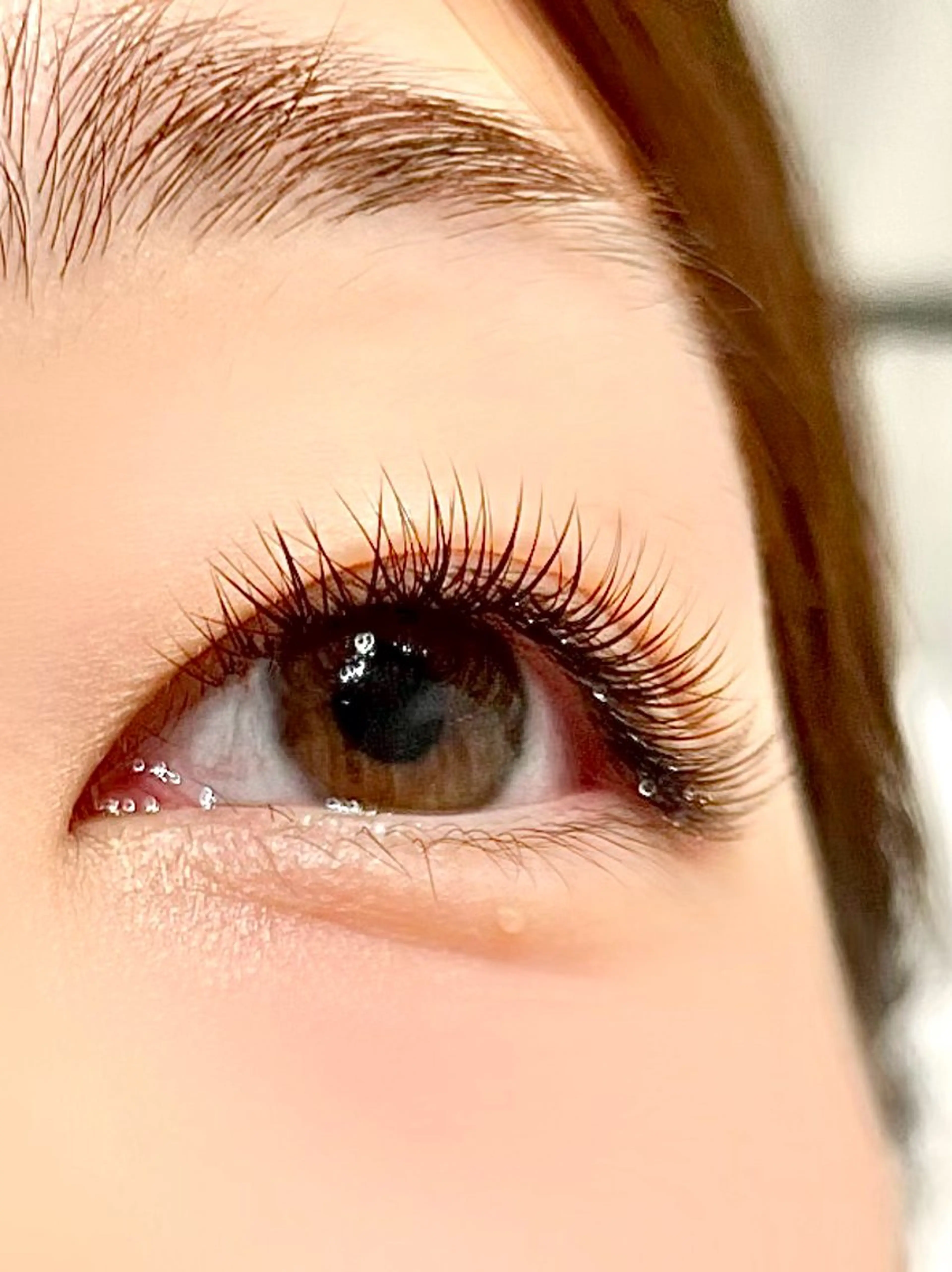 最新LEDボリュームラッシュ100束(アイシャンプー、コーティング付)の写真