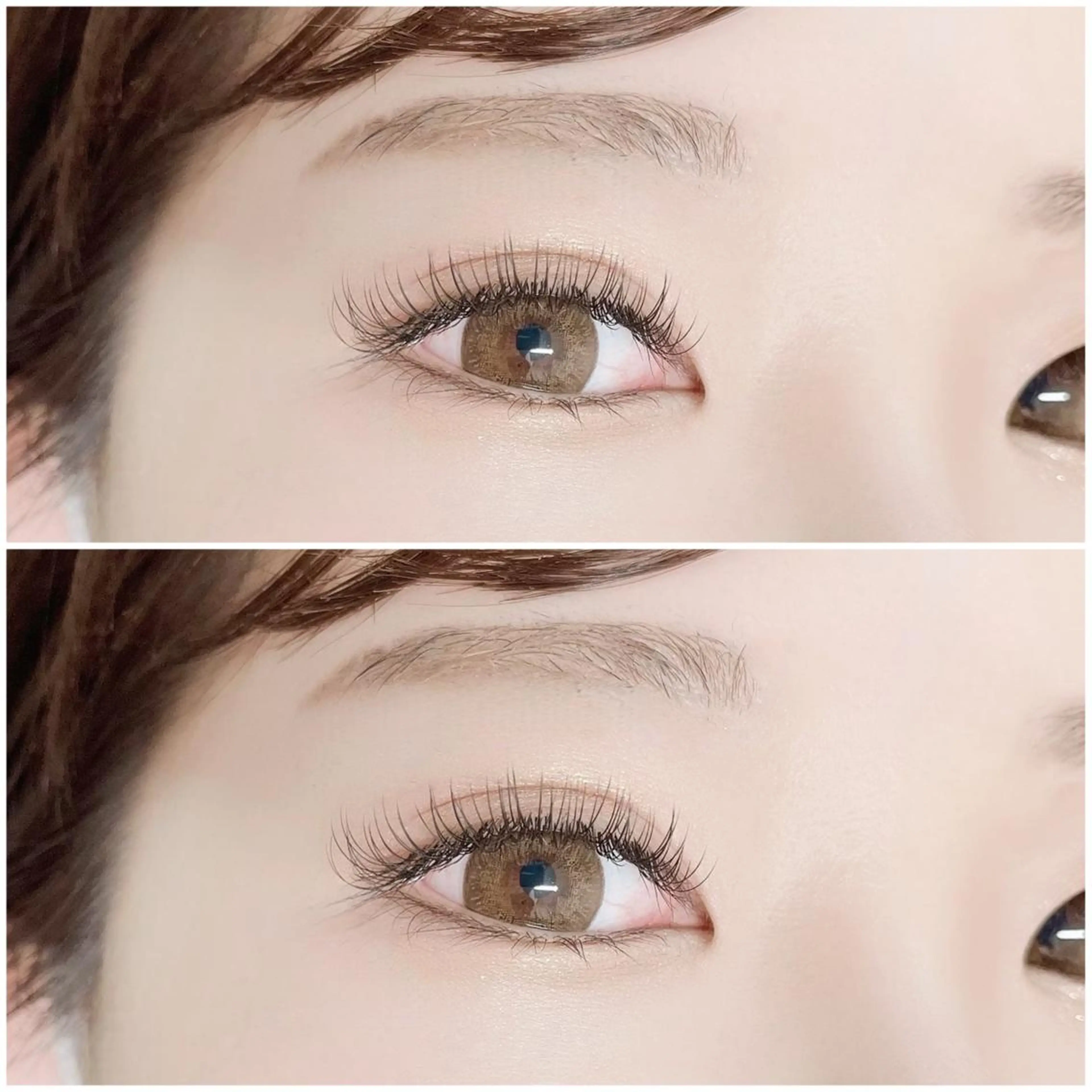 限定価格🉐高級フラットラッシュ50本🧡【オフなしのみ】他店様のお付け足しにも♪の写真