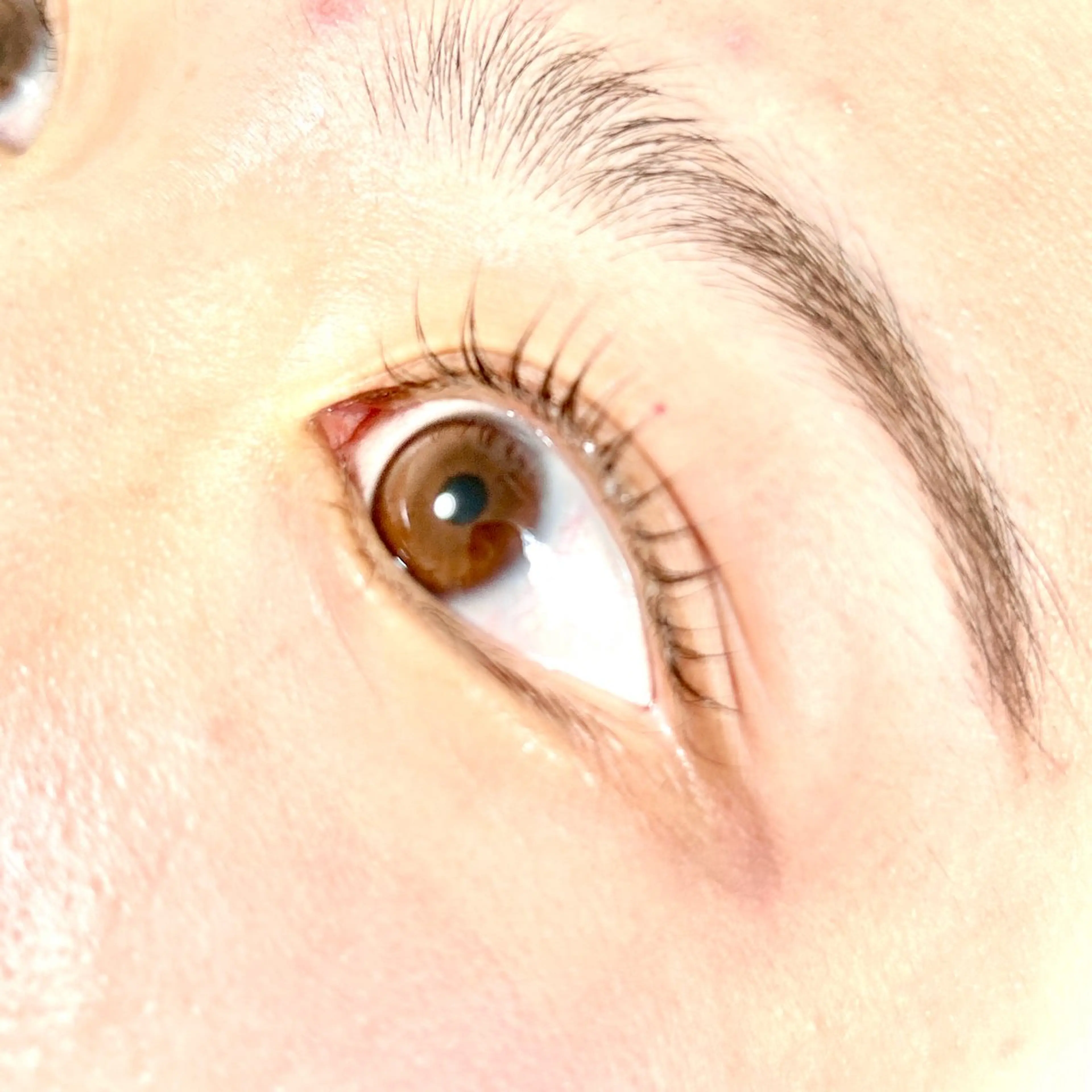 マツエク・マツパ A' moのマツエク・マツパデザイン