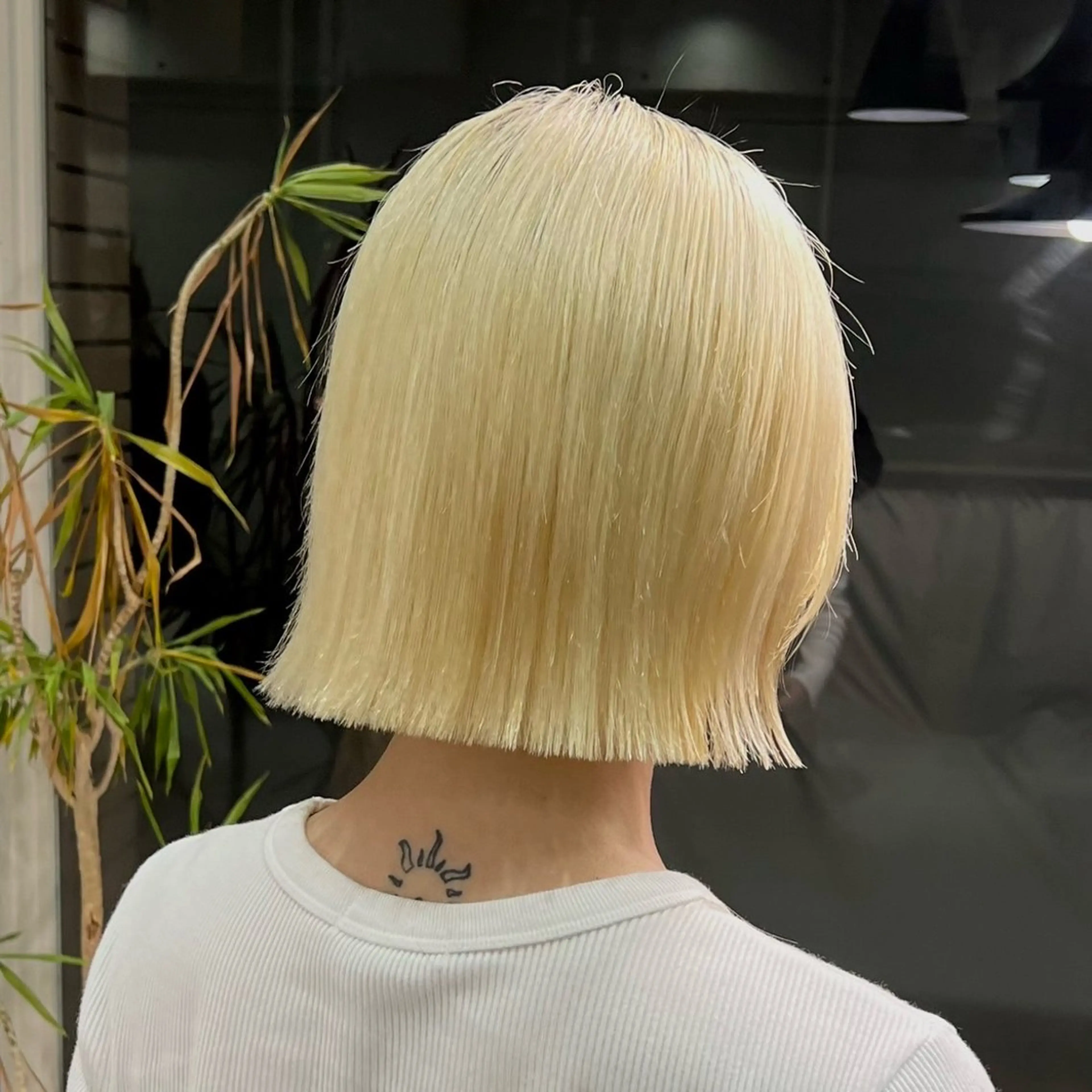 ショート 多毛専門/ 酒井愛由のヘアスタイル