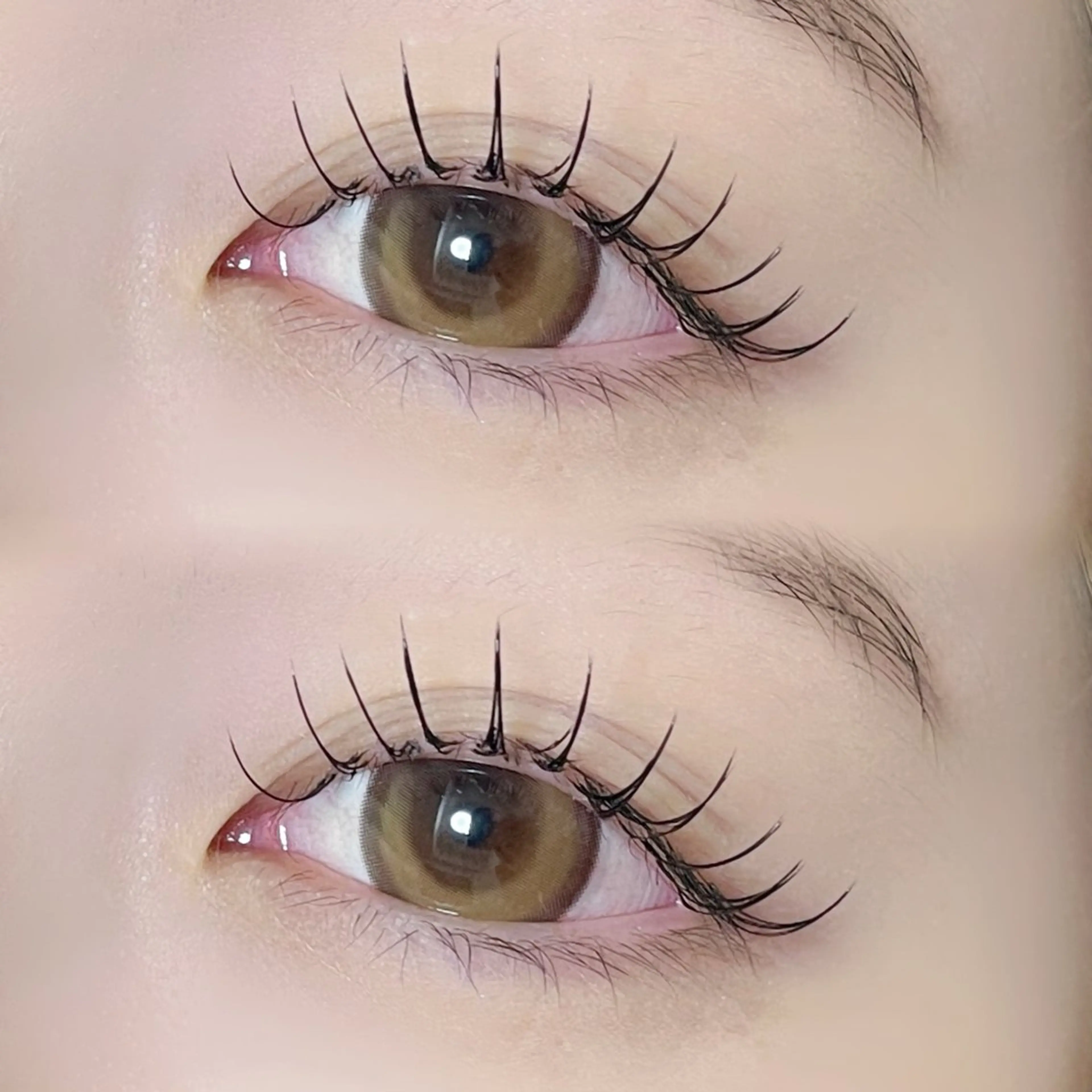 [12月限定価格/ LED変更可]  フラットラッシュ120本🎄の写真