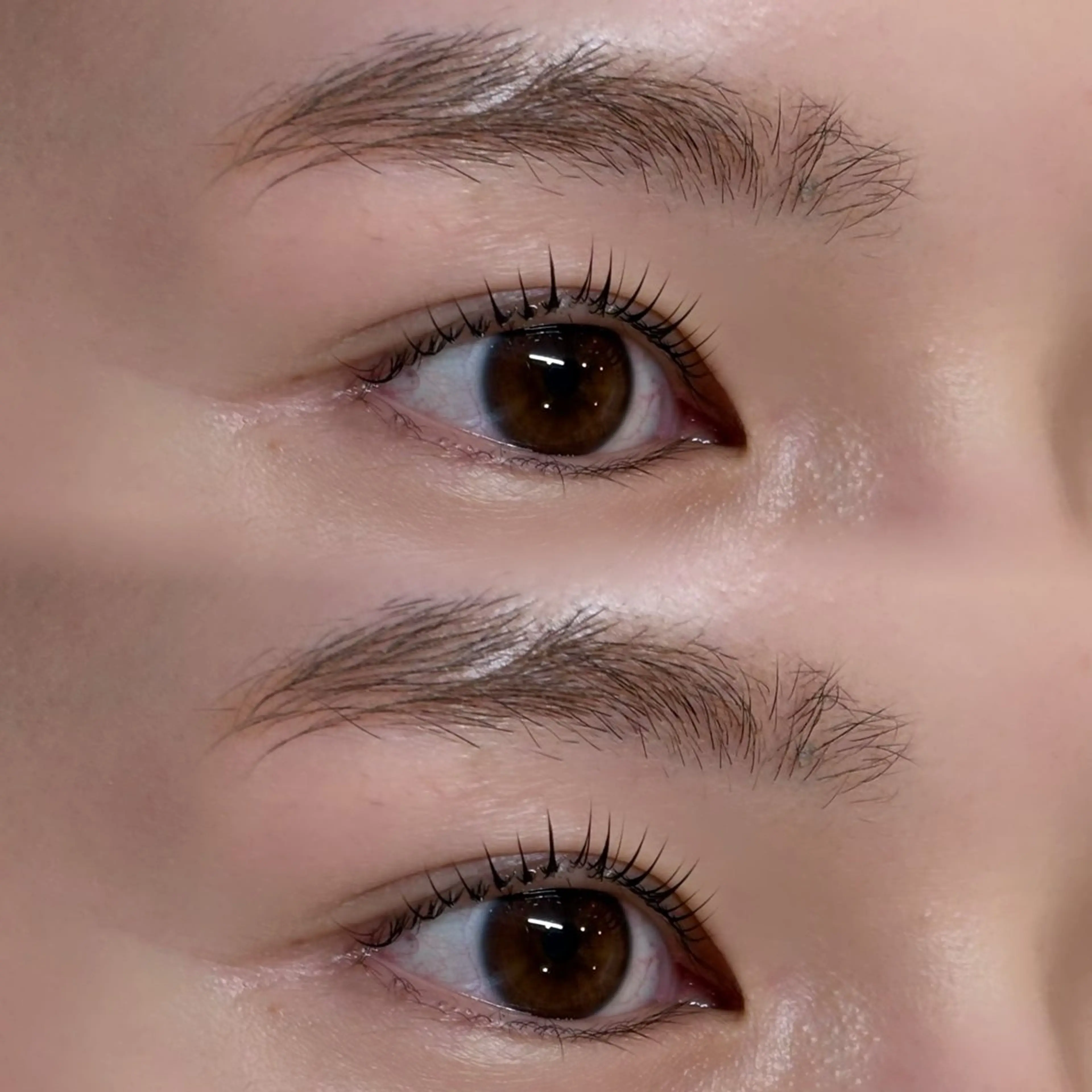 マツエク・マツパ パリジェンヌラッシュリフト miyu / sofa吉祥寺のマツエク・マツパデザイン