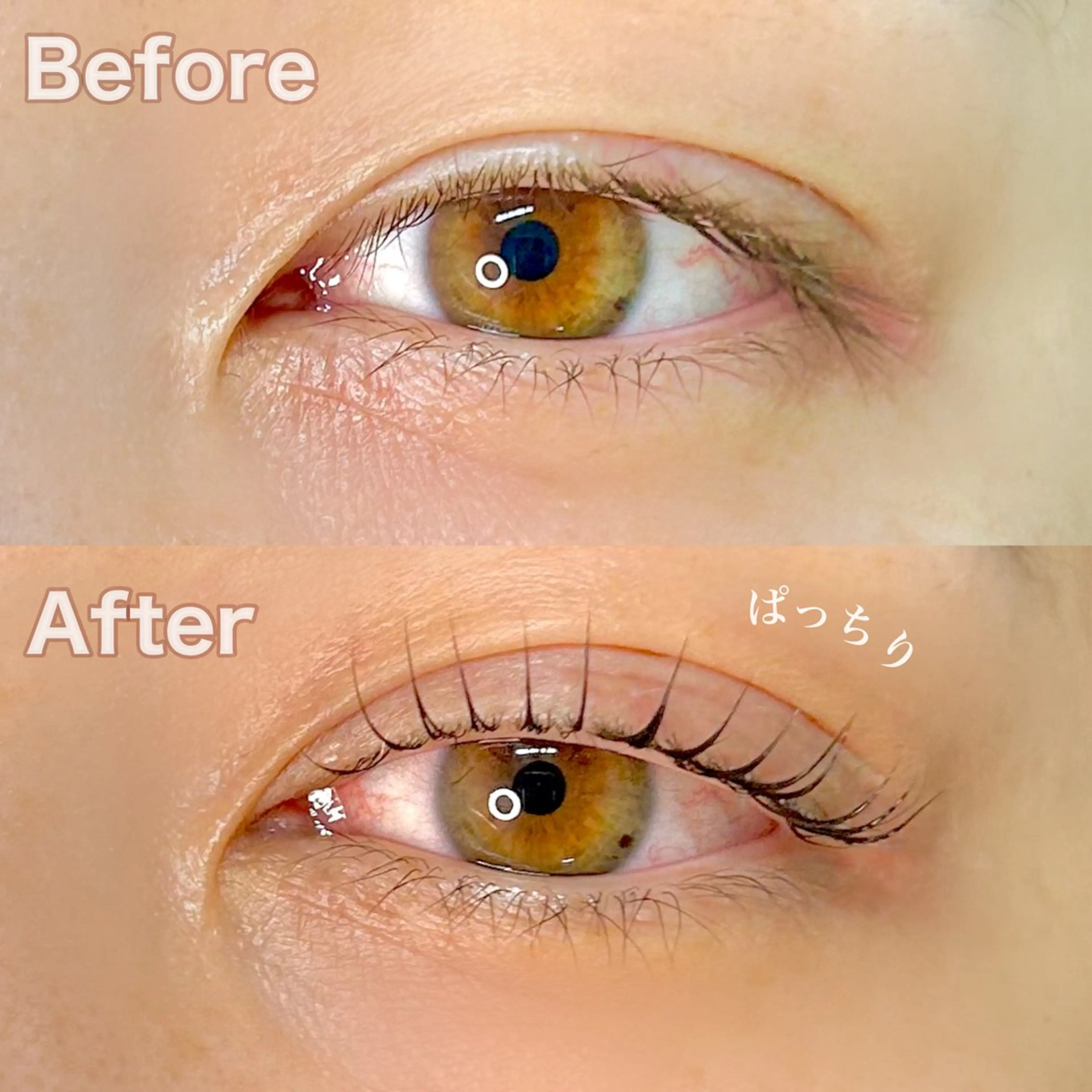 【ご新規様】上まつげパーマの写真