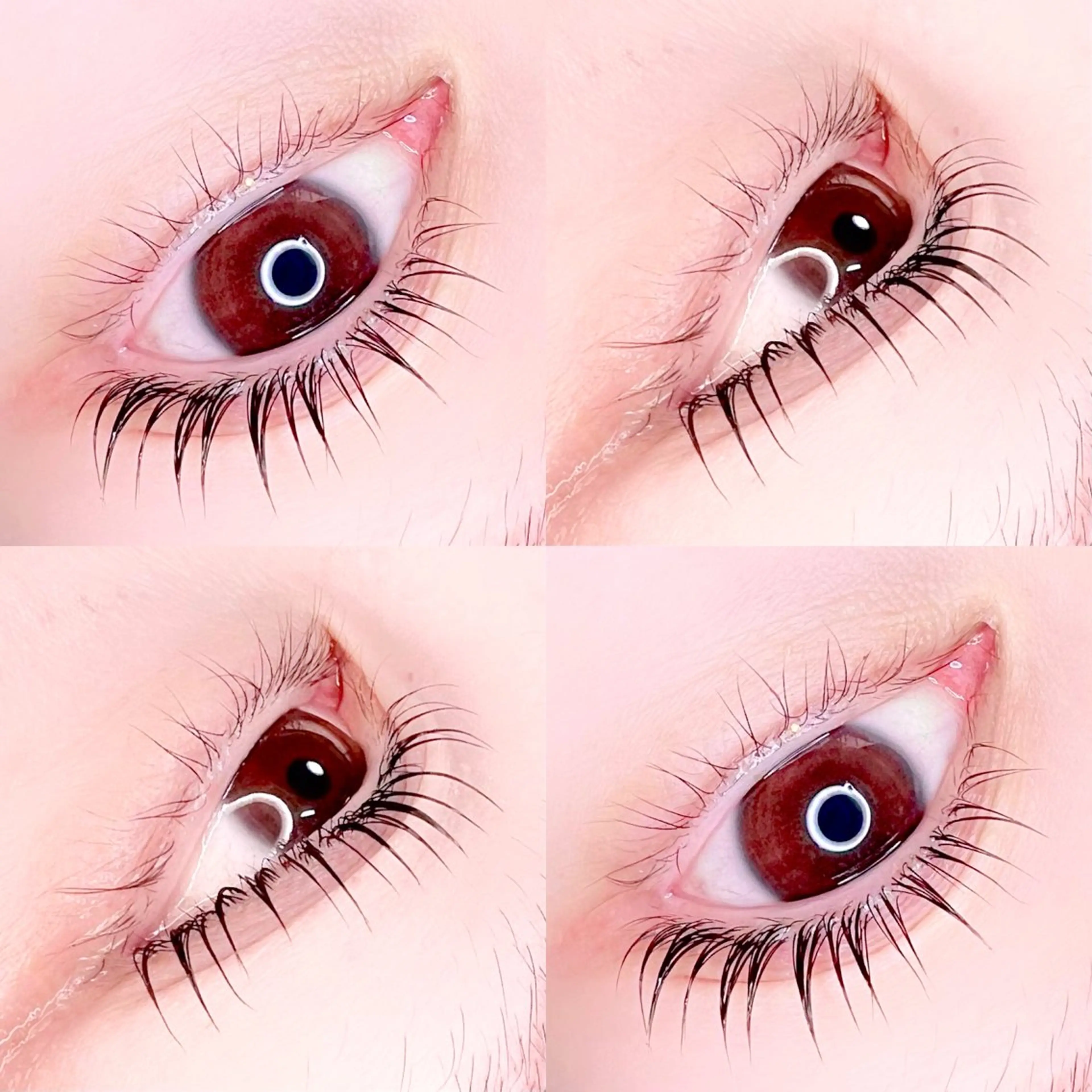 マツエク・マツパ Madonna Lilyのマツエク・マツパデザイン