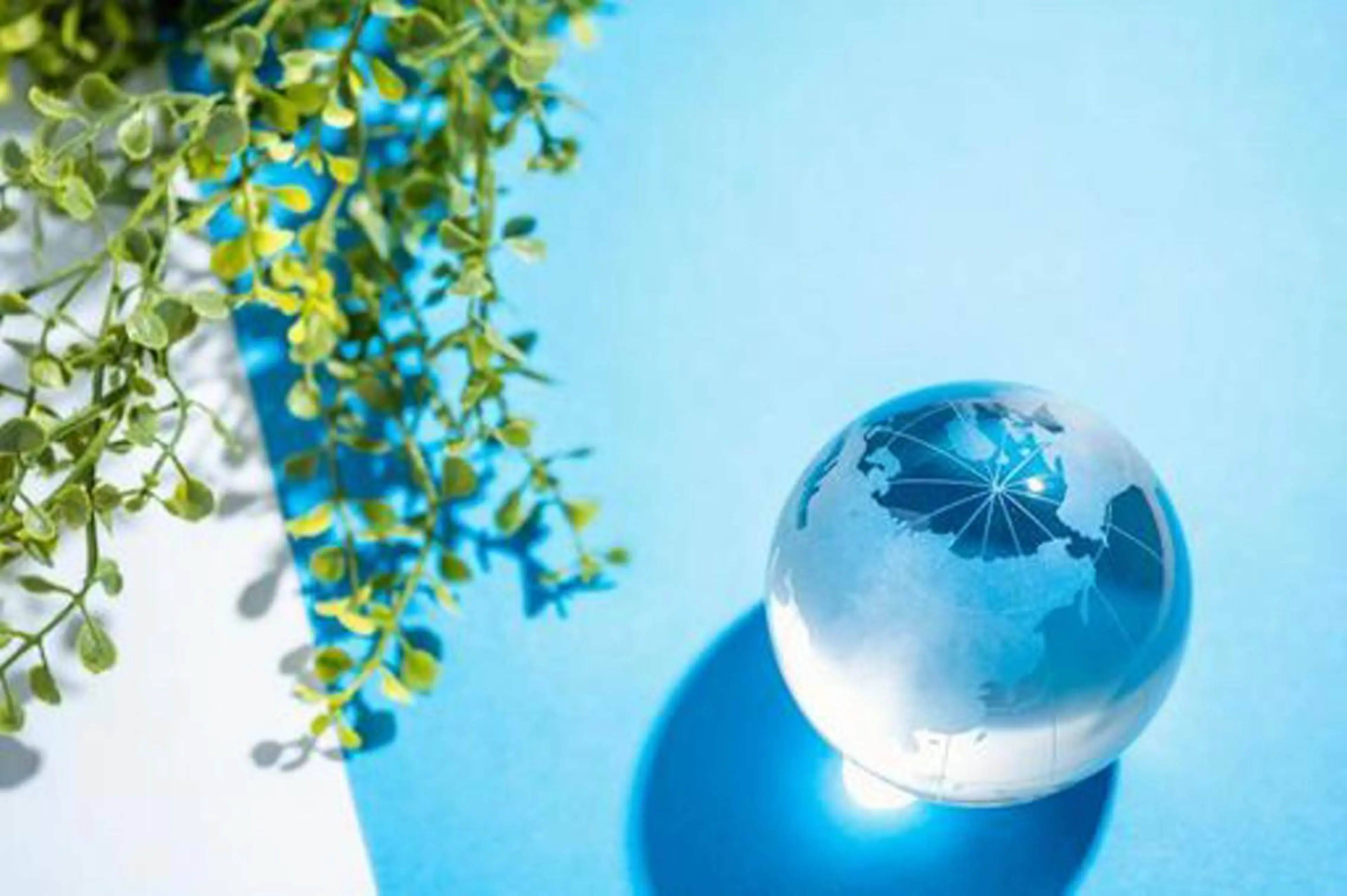 【無料カウンセリング】⭐️の写真