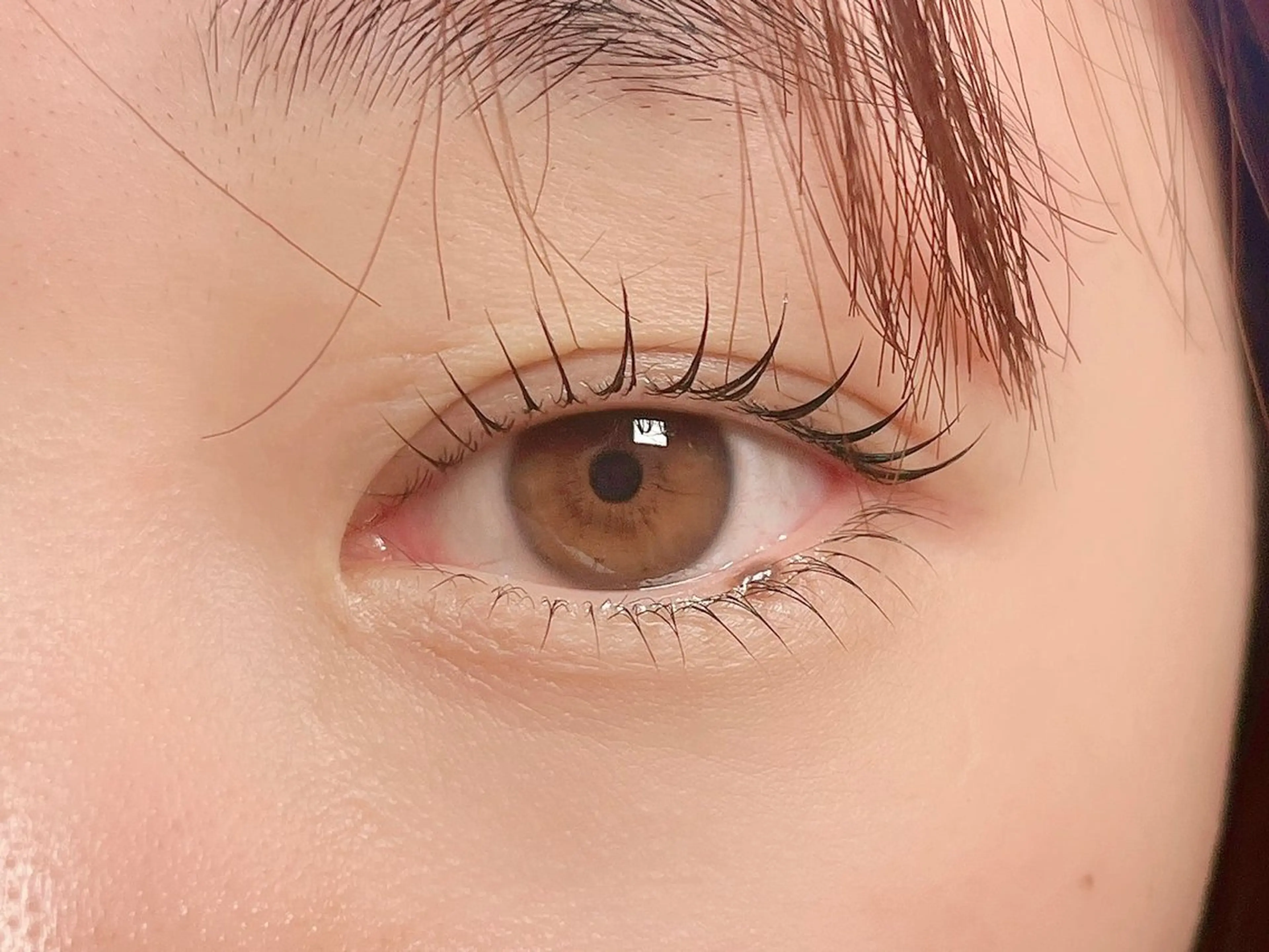 上下ラッシュリフト(105分)の写真