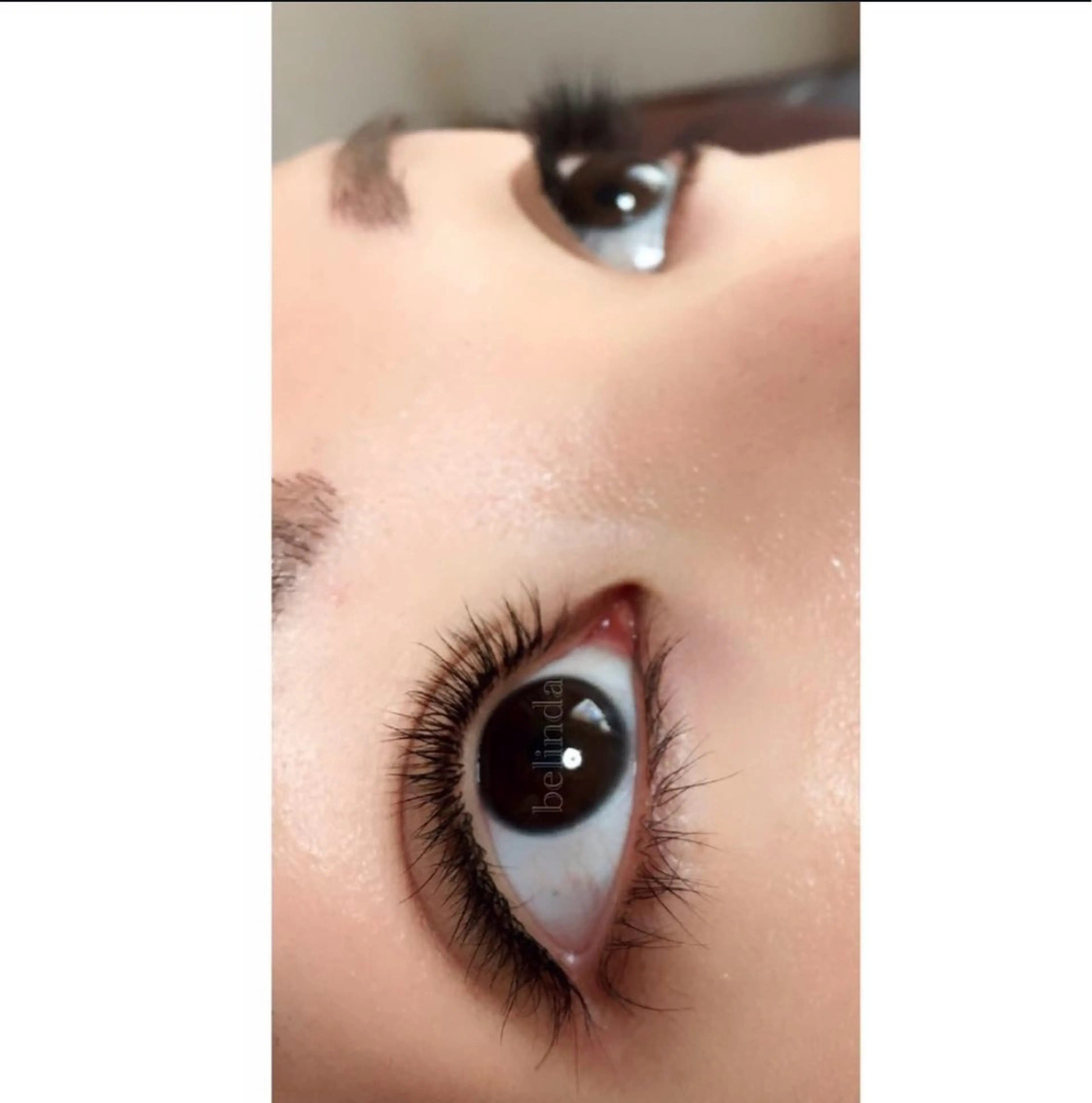 【高級セーブル使用】ボリュームラッシュ４００本＆アップワードラッシュ UPwardlashの写真