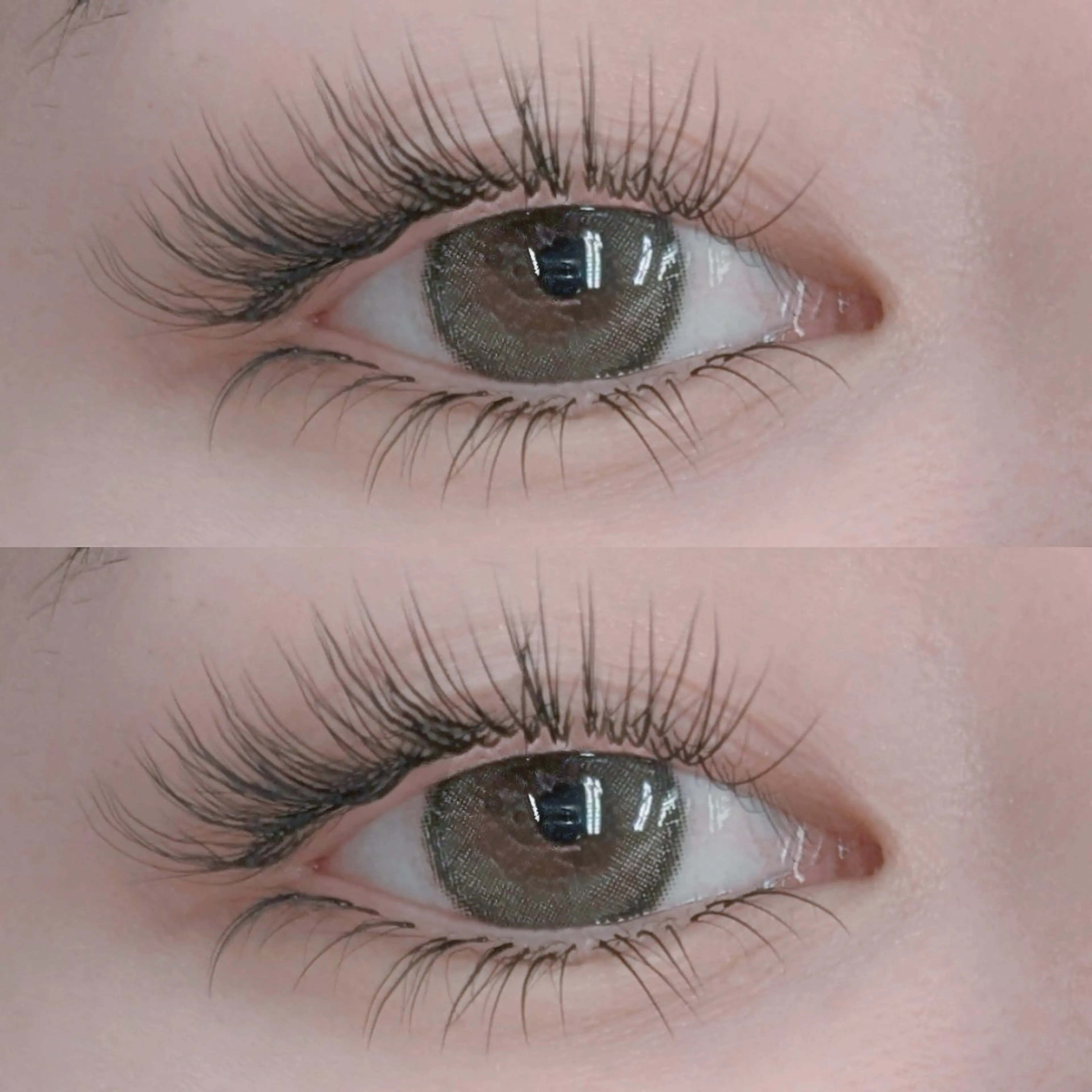 マツエク・マツパ フラットラッシュ マツエク 《amii》 ☆さいとうのマツエク・マツパデザイン