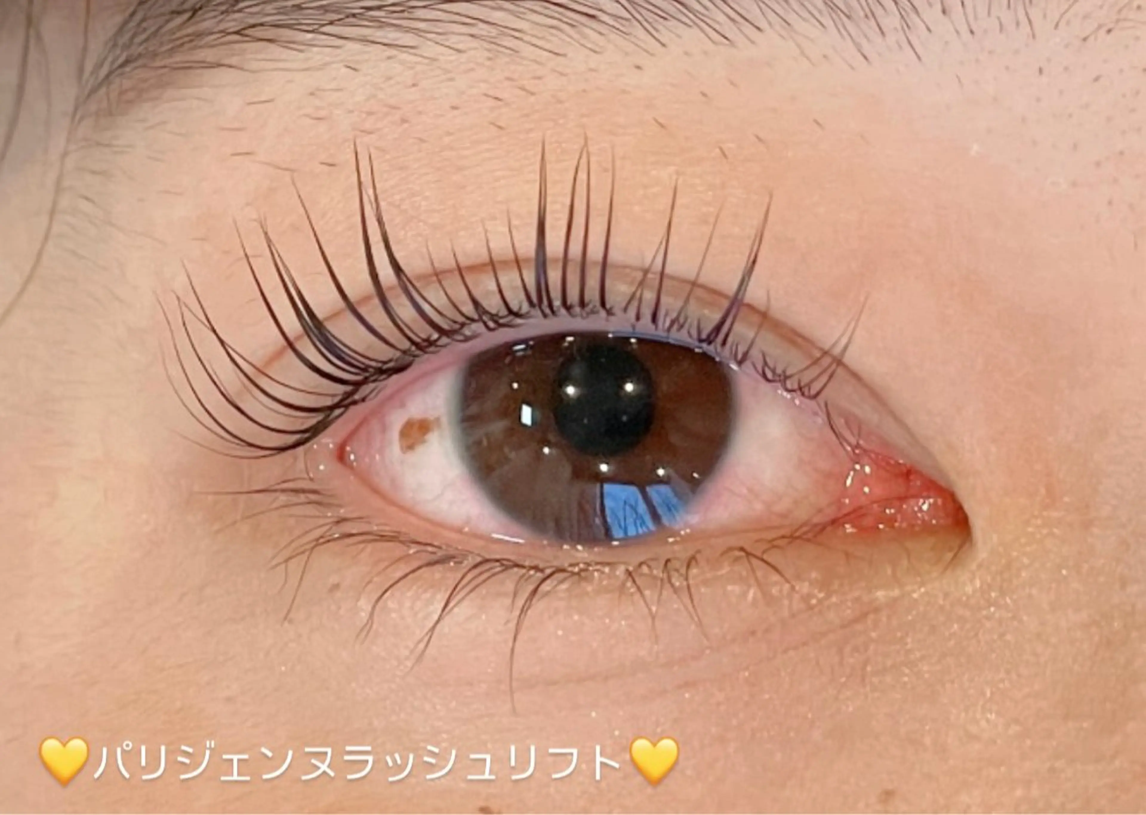 マツエク・マツパ Butterfly 平塚店　中島のマツエク・マツパデザイン