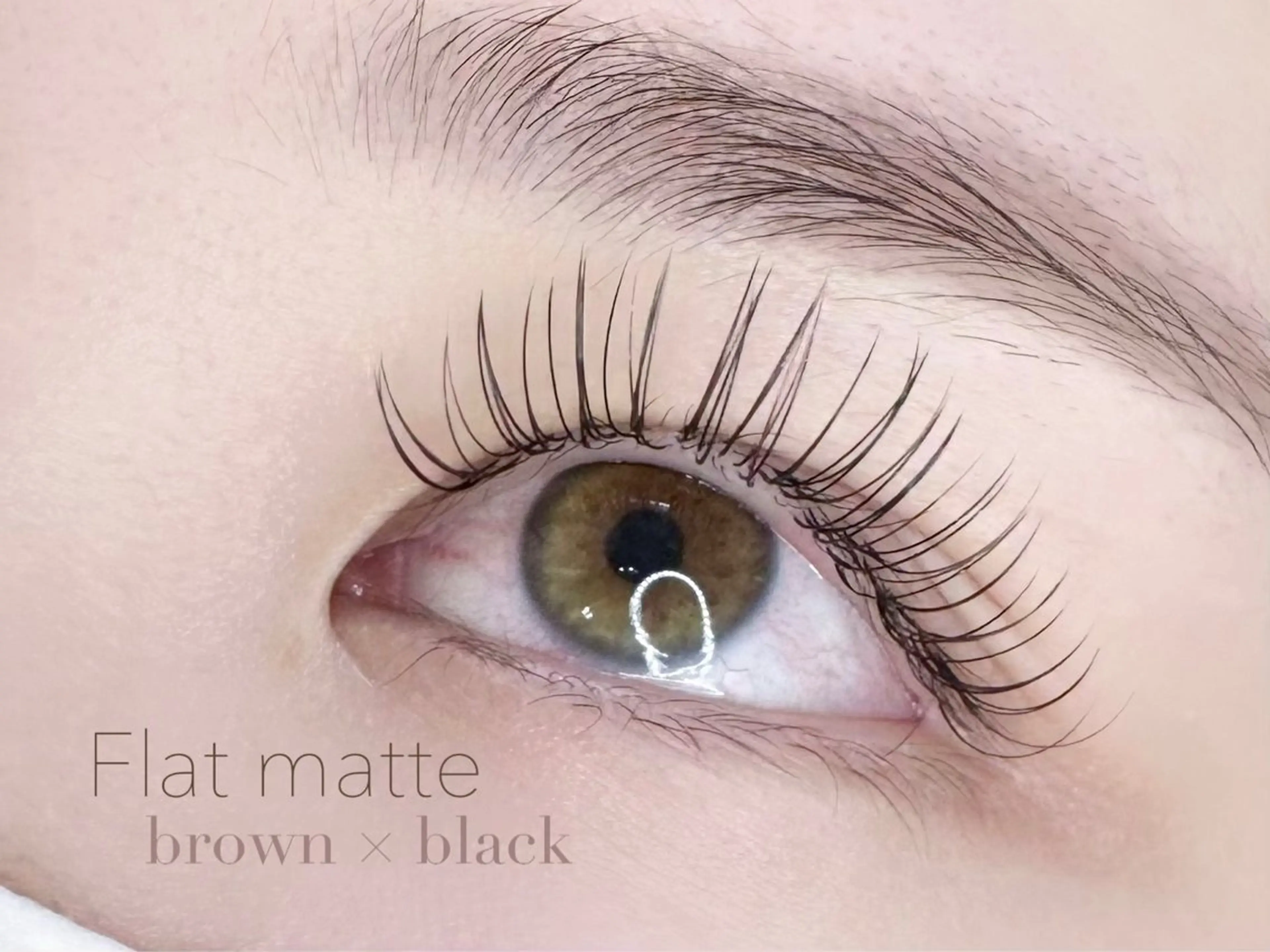 まつエクフラットマット🤎120本(コーティング付き)の写真