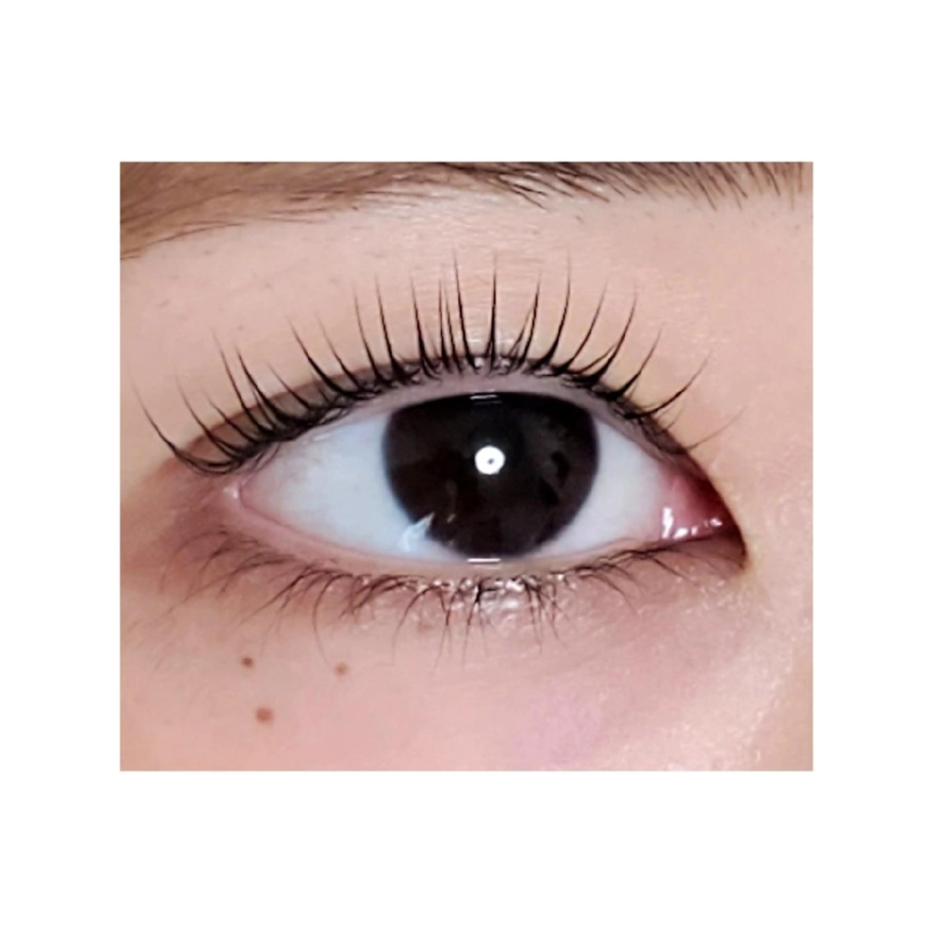 マツエク・マツパ  毛穴洗浄・まつ毛 の専門店 ソラーレのエステ・リラクイメージ