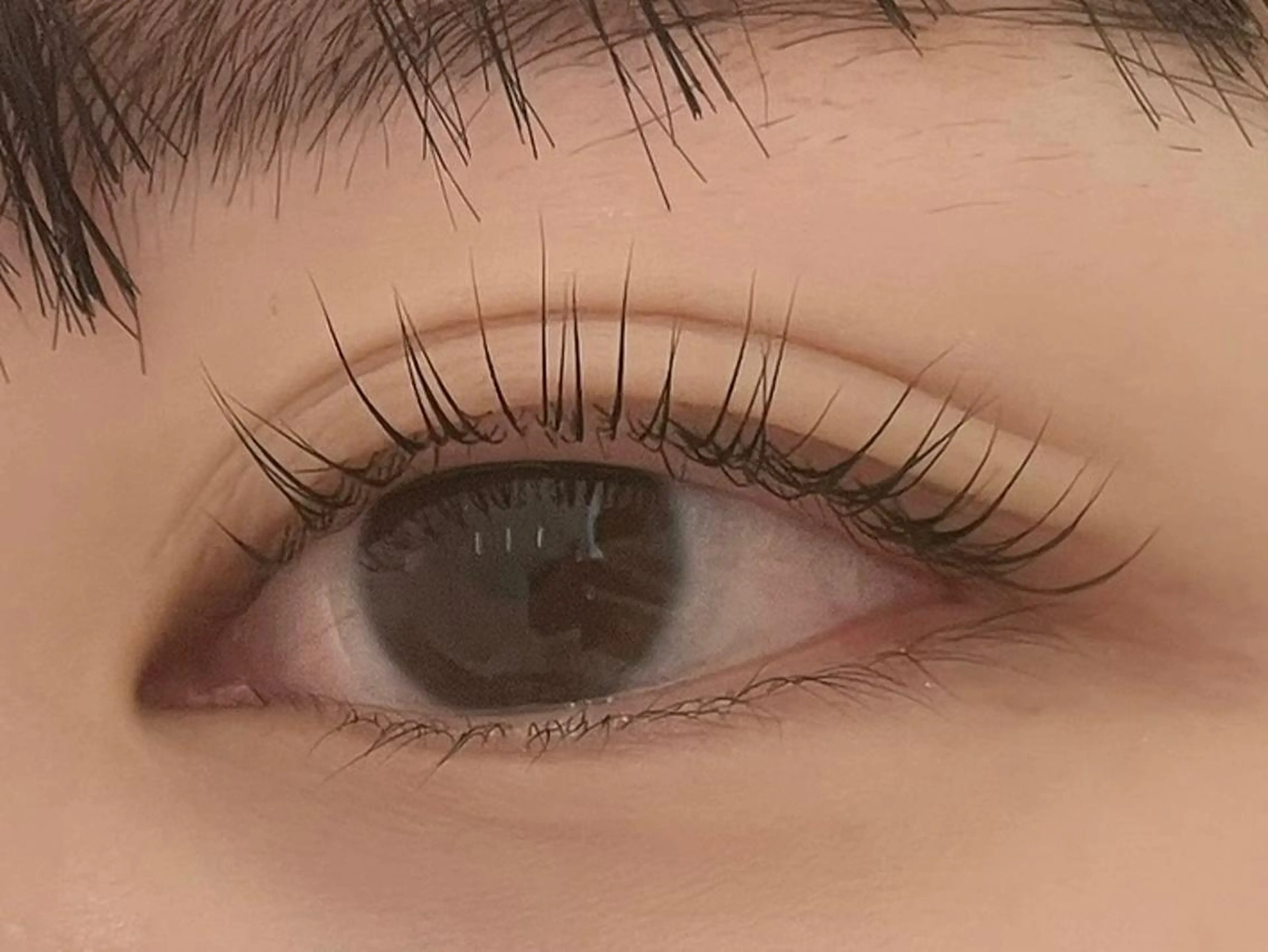 マツエク・マツパ LEDマツエク/ アイブロウ/石原の眉毛・アイブロウイメージ