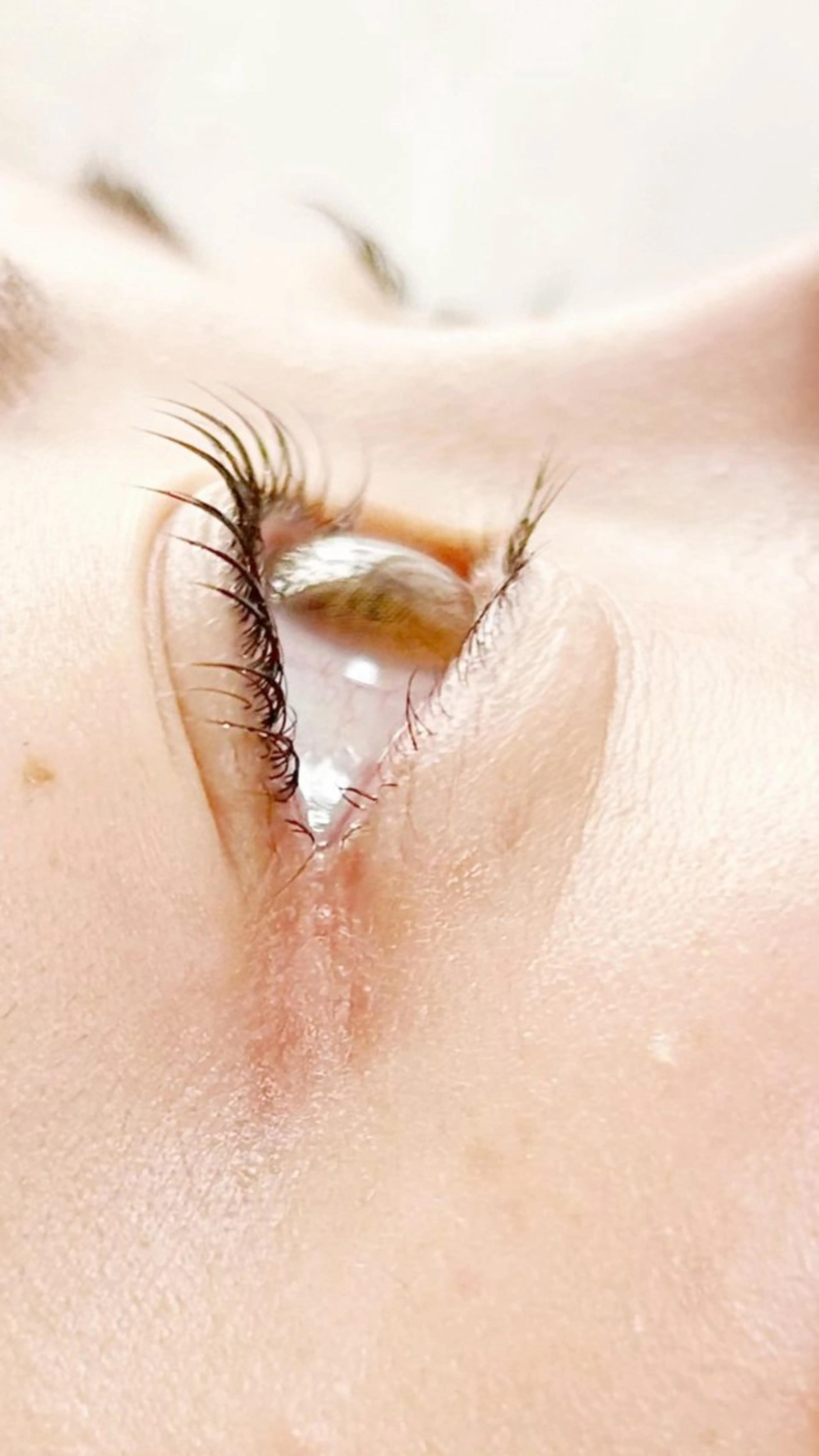 マツエク・マツパ A' moのマツエク・マツパデザイン