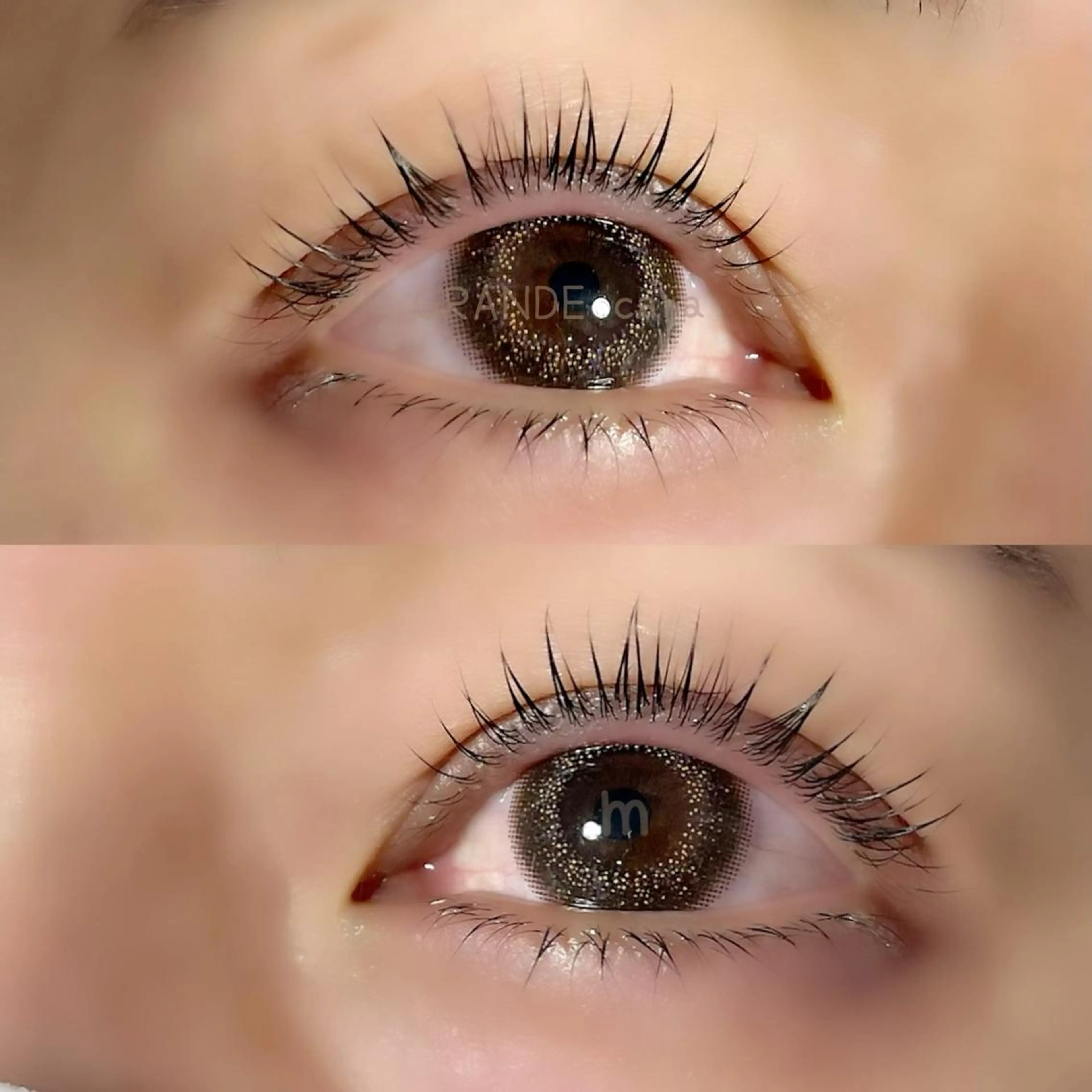 マツエク・マツパ パリジェンヌラッシュリフト マツパ GRANDEcara 栄　Miki🍀のマツエク・マツパデザイン