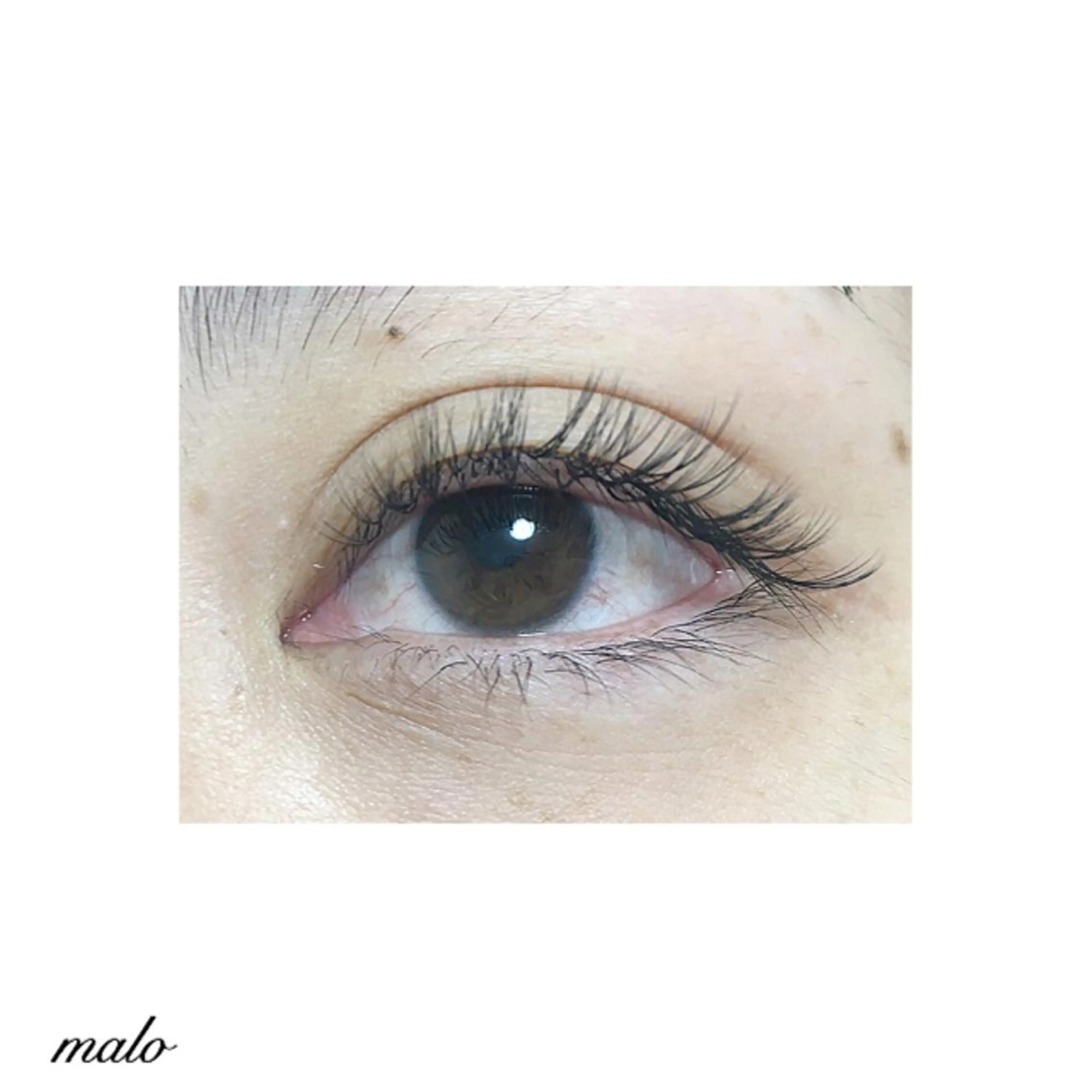 マツエク・マツパ 付け放題 ナチュラル まつえく屋さん 【M A L O】のマツエク・マツパデザイン