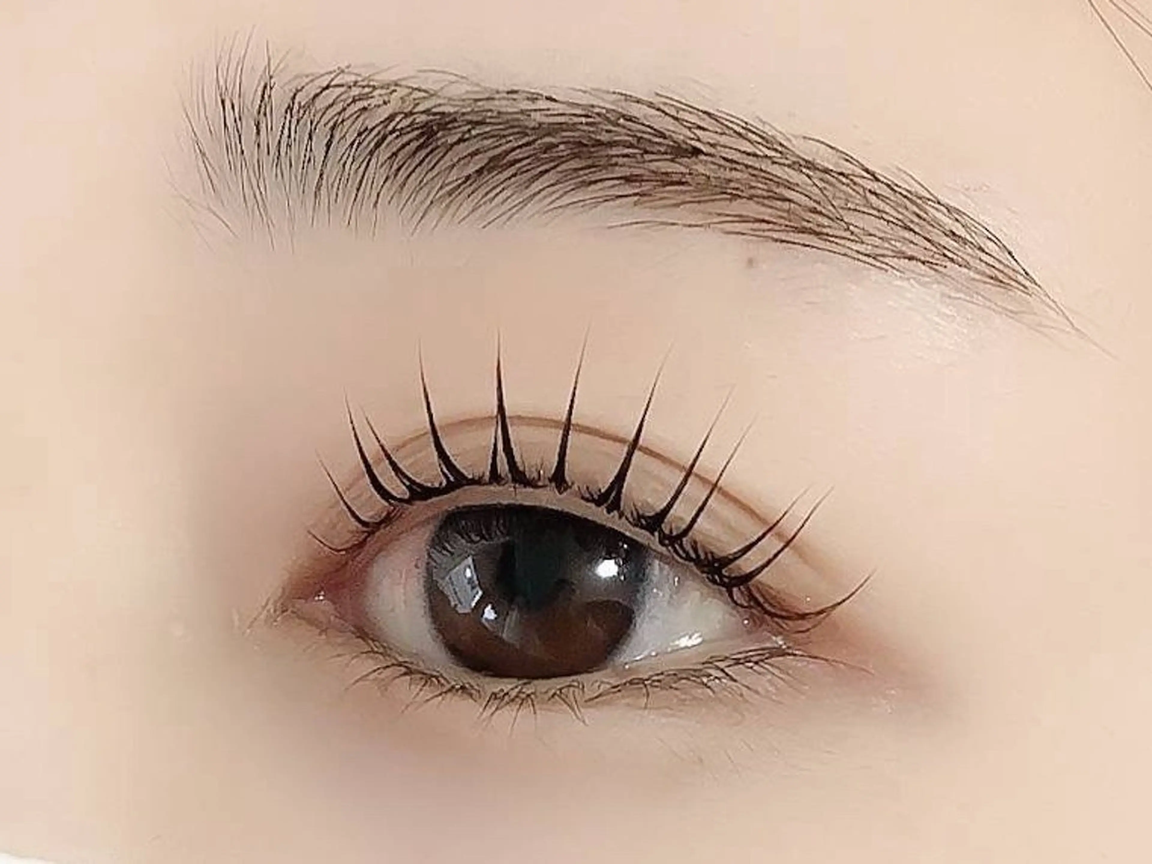 マツエク・マツパ 【まつげパーマ/パリジェンヌ/眉毛専門店】ストライプ　志木店所属・ストライプ 志木店 Yu-miのマツエク・マツパデザイン