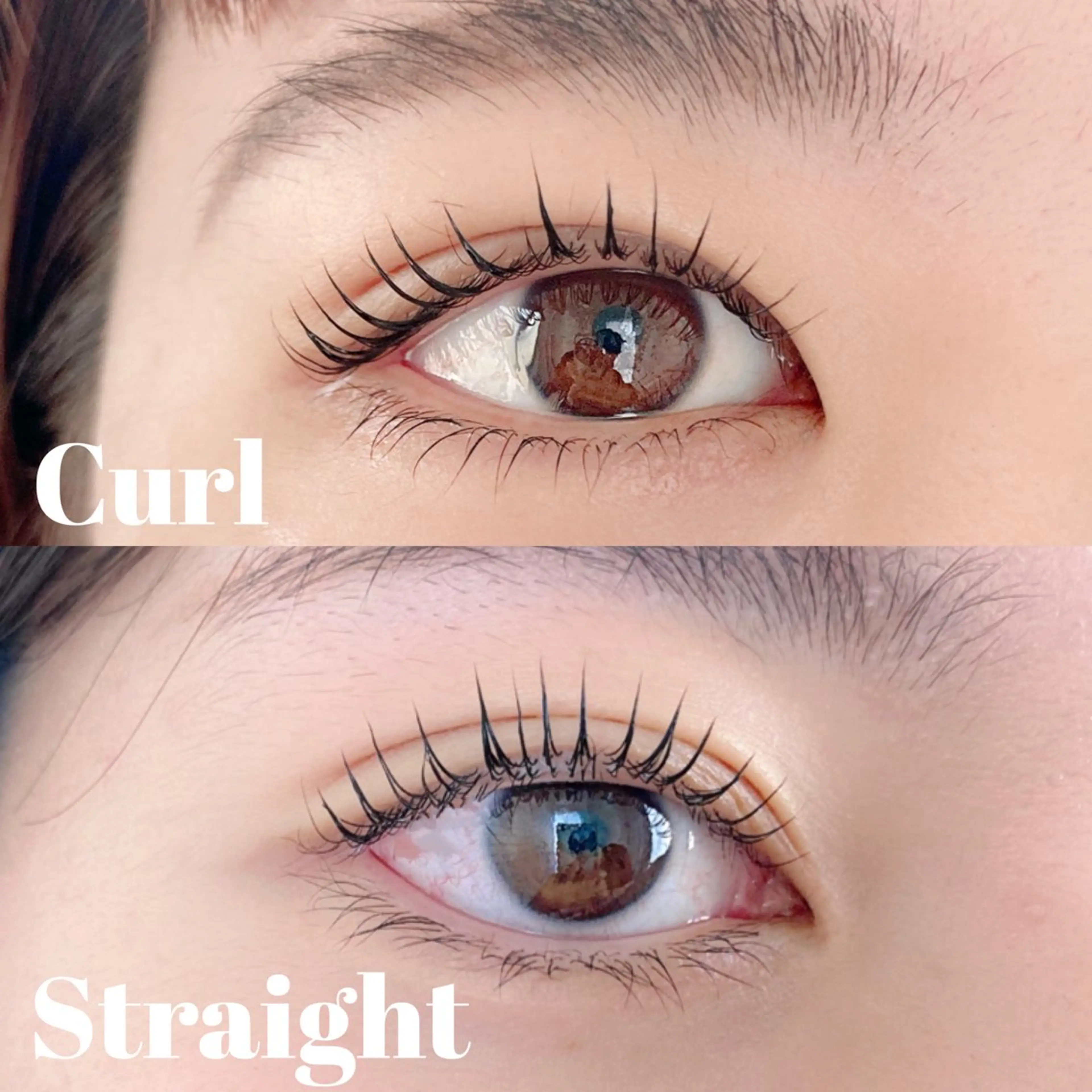 ♥️持続力upトリートメント付上下パリジェンヌラッシュリフトorカールスタイル(選択可)+美容コーティング束感仕上げ✨の写真