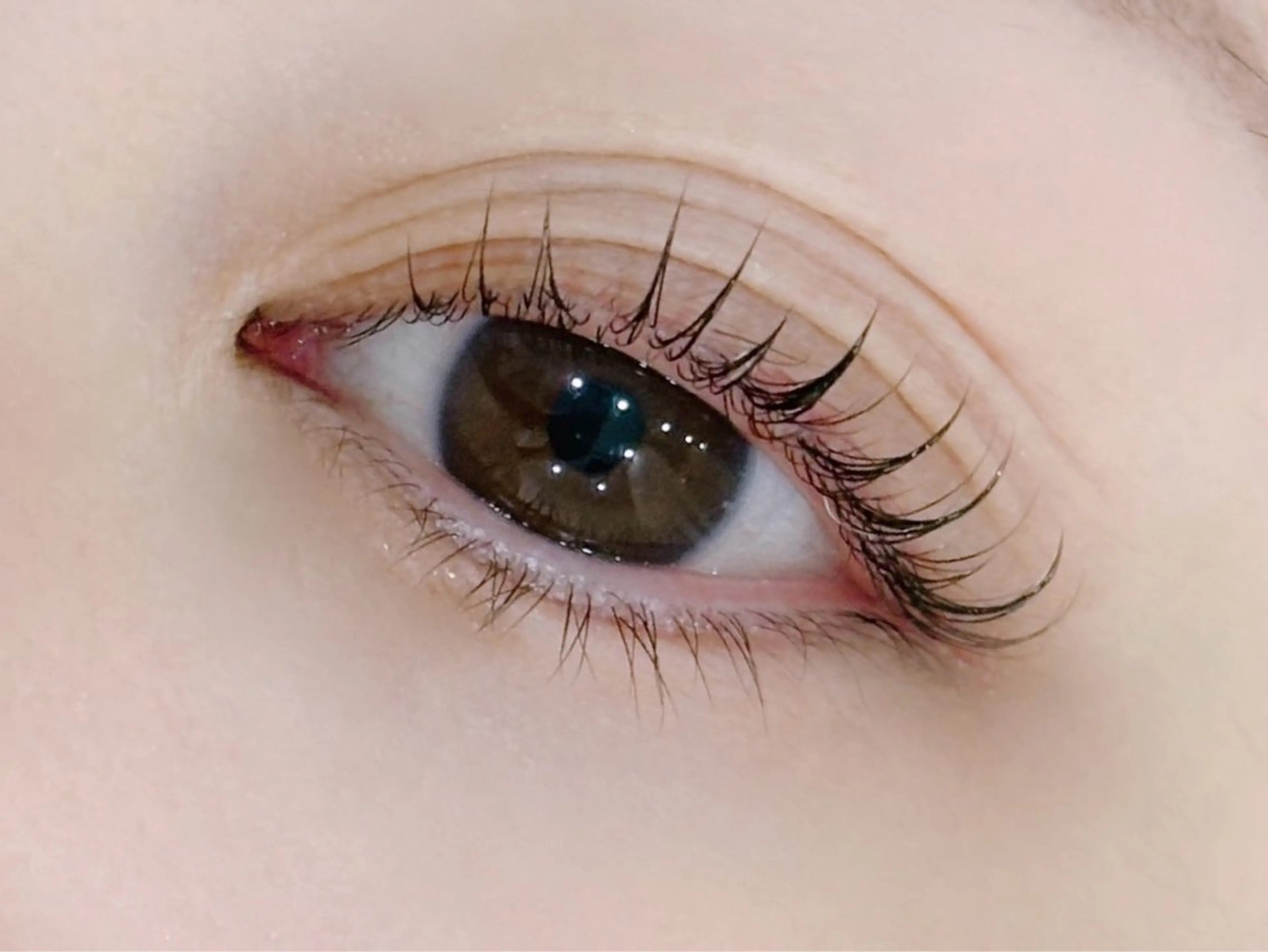 マツエク・マツパ まつげパーマ JOJO【 kaneko◡̈*】のマツエク・マツパデザイン