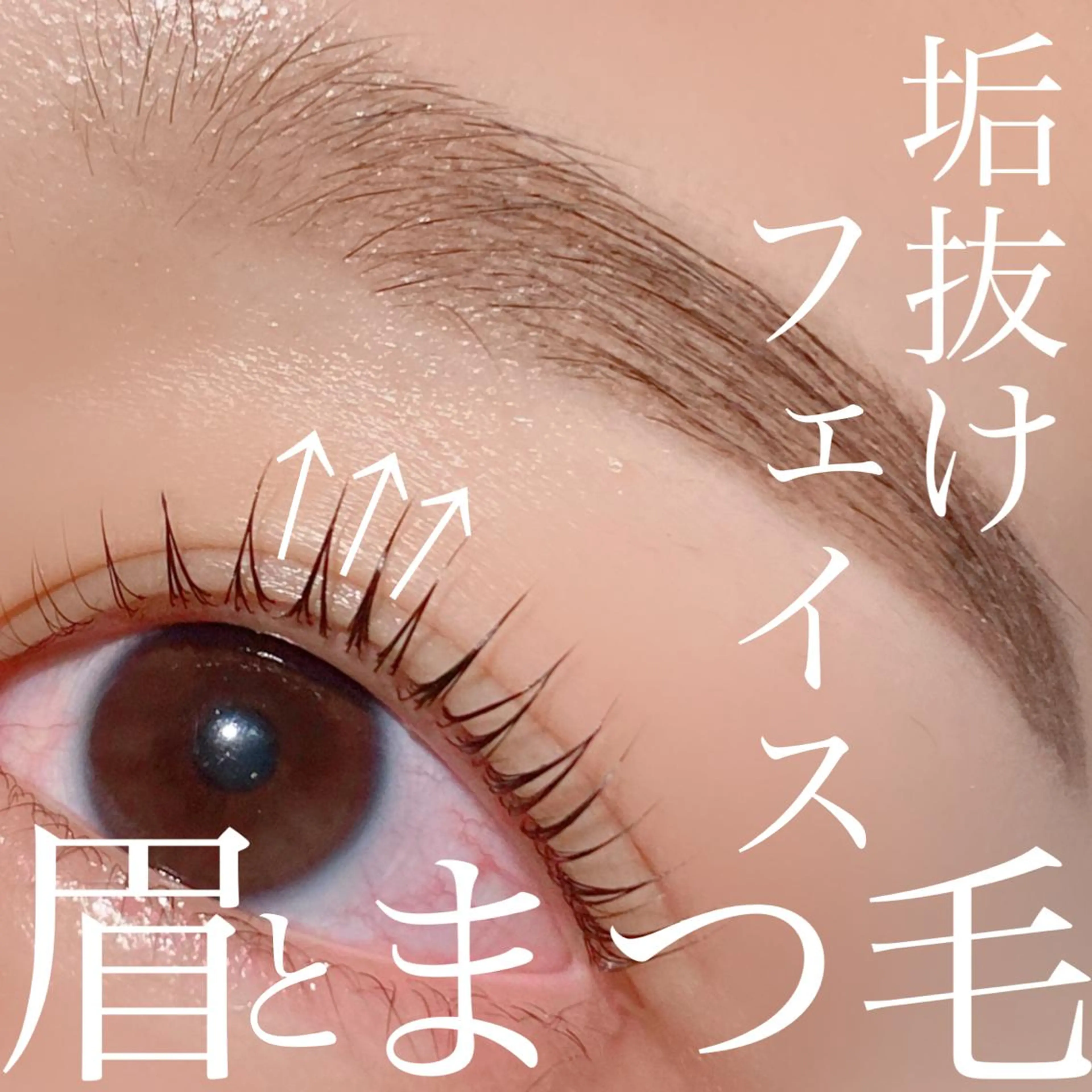 マツエク・マツパ filo所属・三谷 知代のマツエク・マツパデザイン