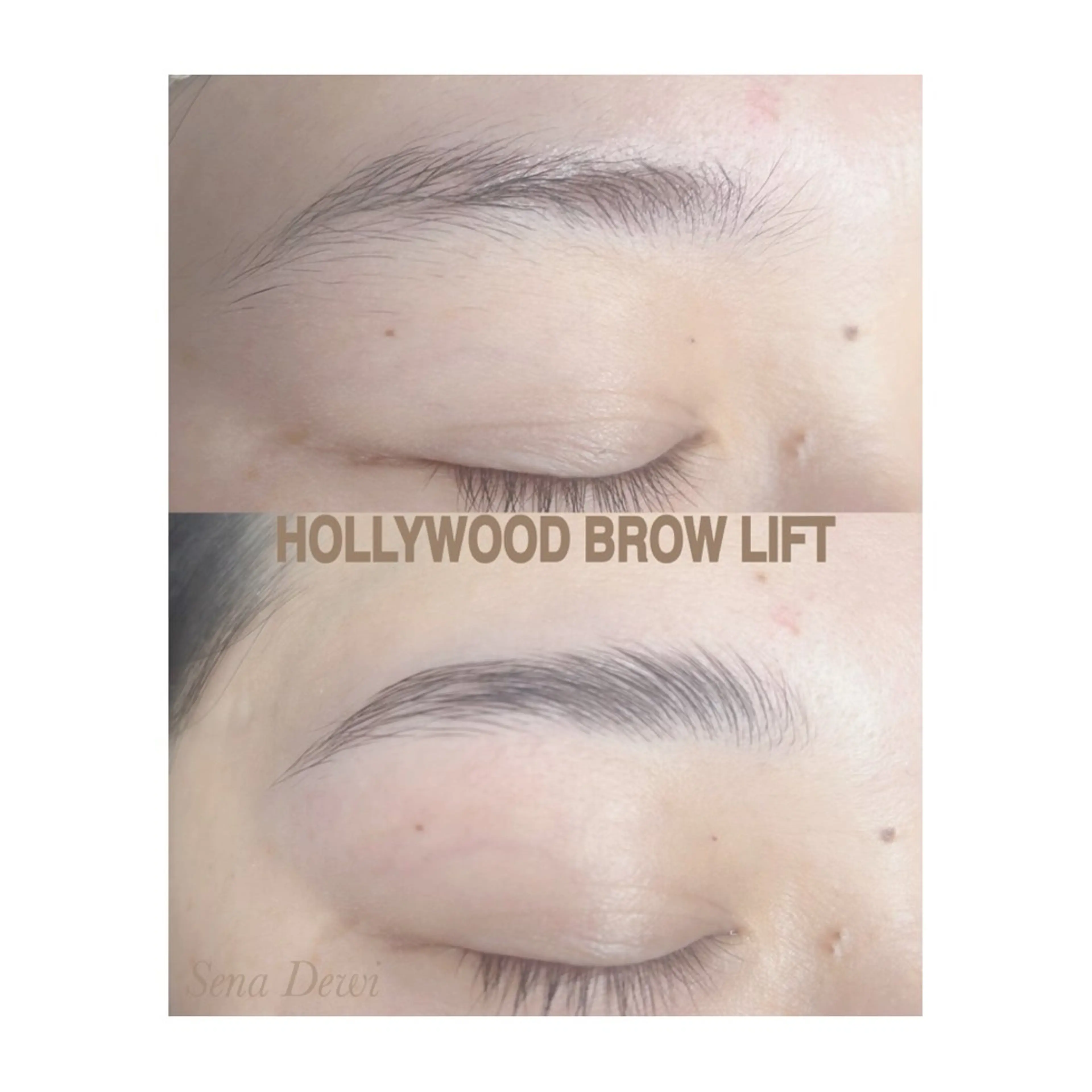 アイブロウ Sena Dewi Yukiの眉毛・アイブロウイメージ