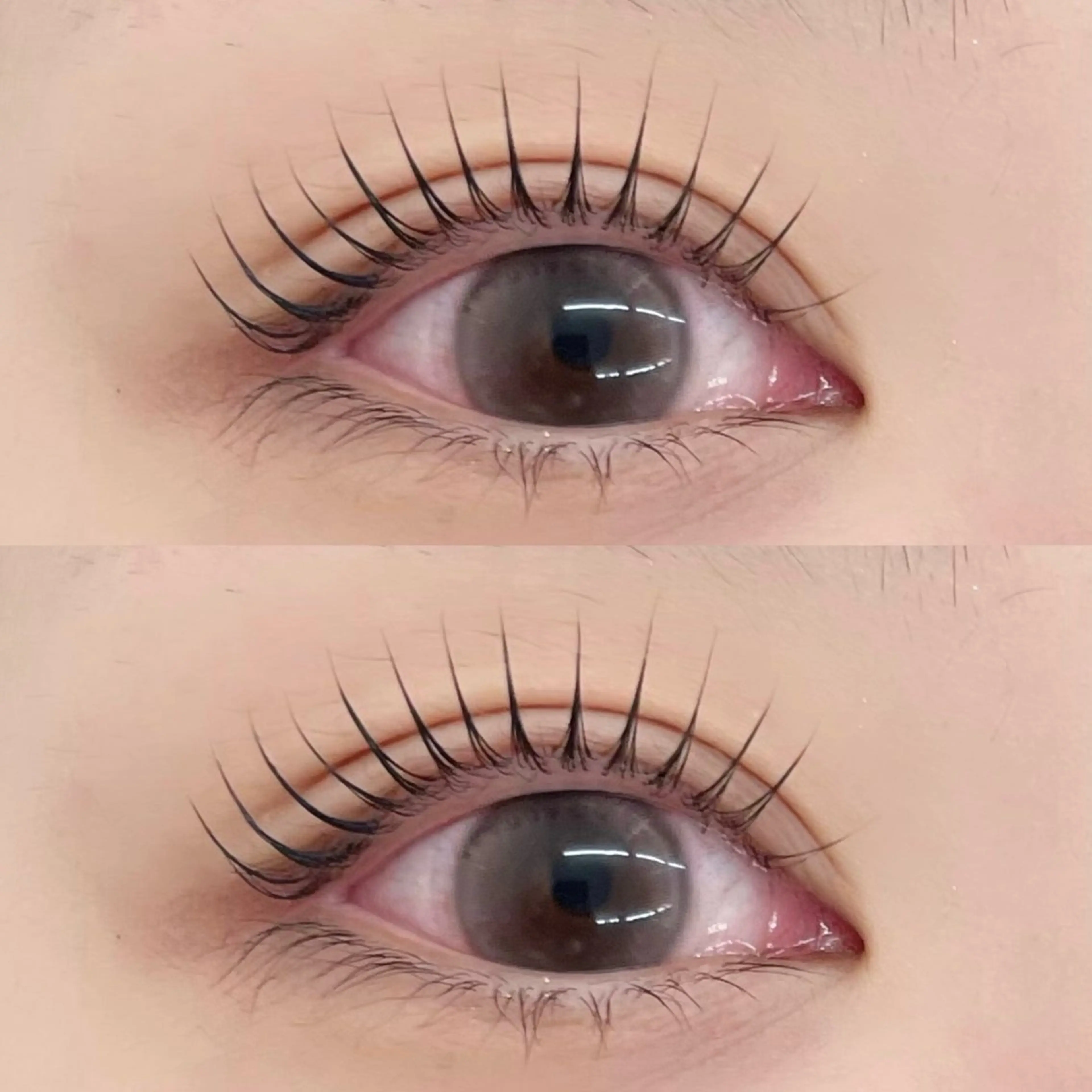 【ご新規様限定】🕊️パリジェンヌラッシュリフトの写真