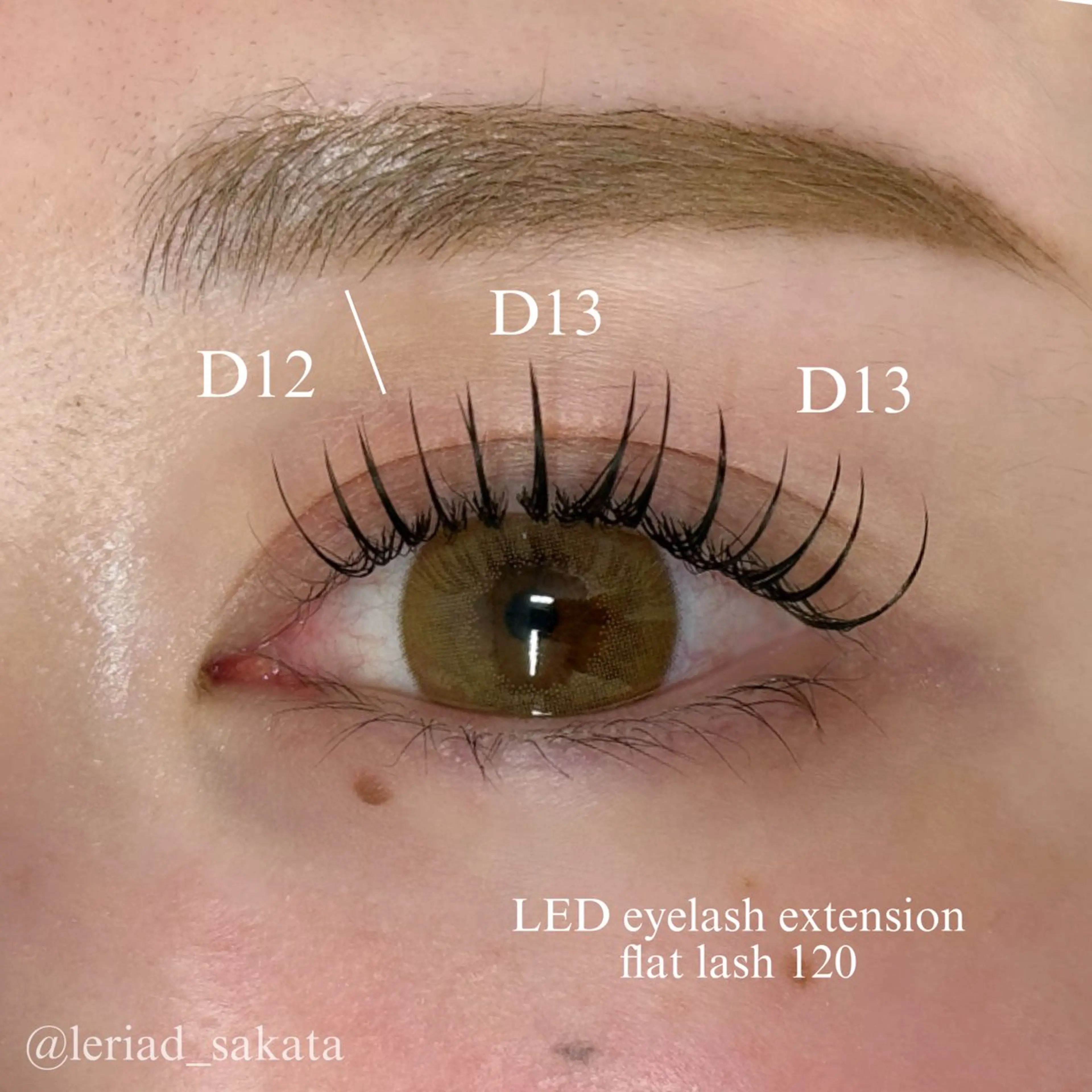 マツエク・マツパ フラットラッシュ ワンホンマツエク Le  Riad 坂田のマツエク・マツパデザイン