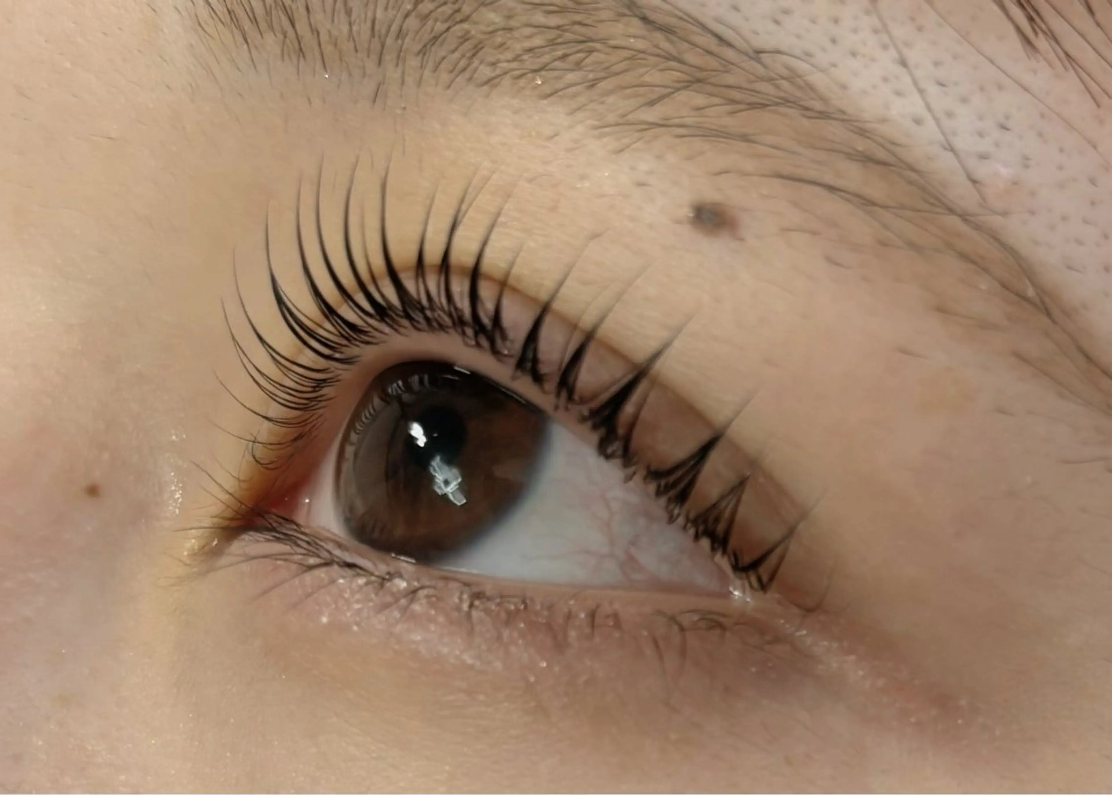 マツエク・マツパ パリジェンヌラッシュリフト 𝐞𝐢𝐠𝐡𝐭 🤍𝐑𝐄𝐈のマツエク・マツパデザイン