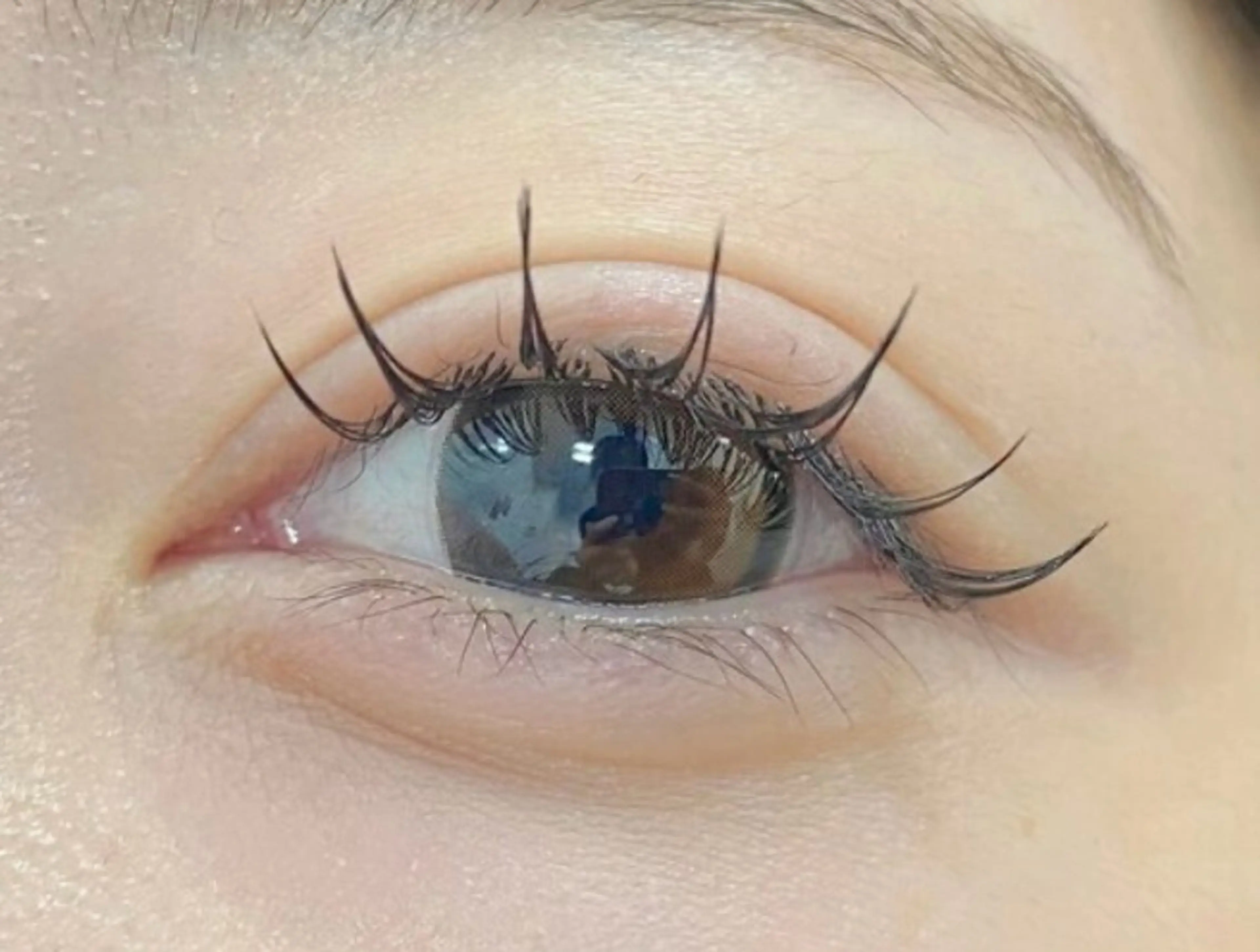 マツエク・マツパ プラスアイ吉祥寺所属・無料マツエクモデル 🎀ASUKAのマツエク・マツパデザイン