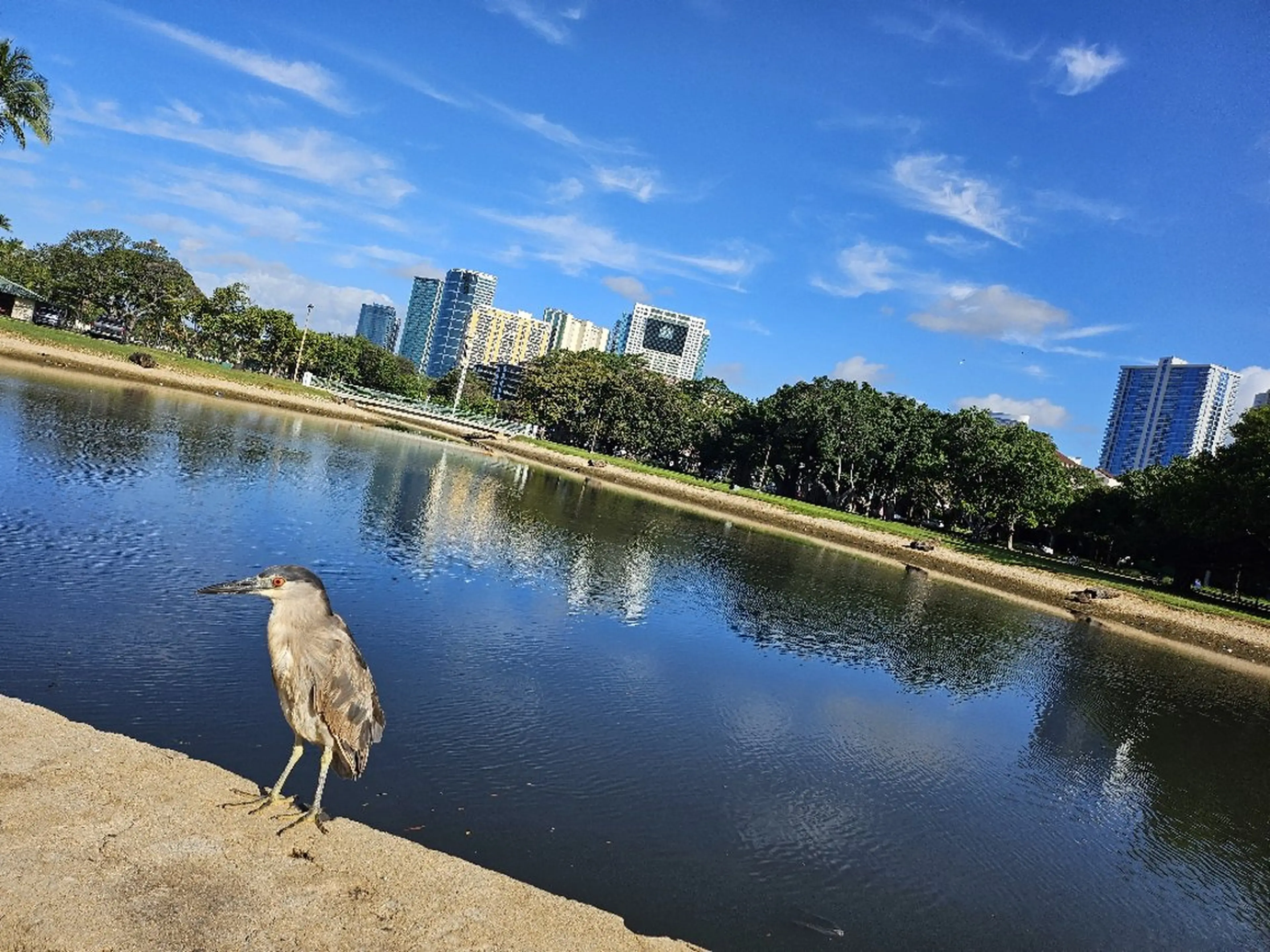パーマ GIFT所属・谷 結奈のヘアスタイル