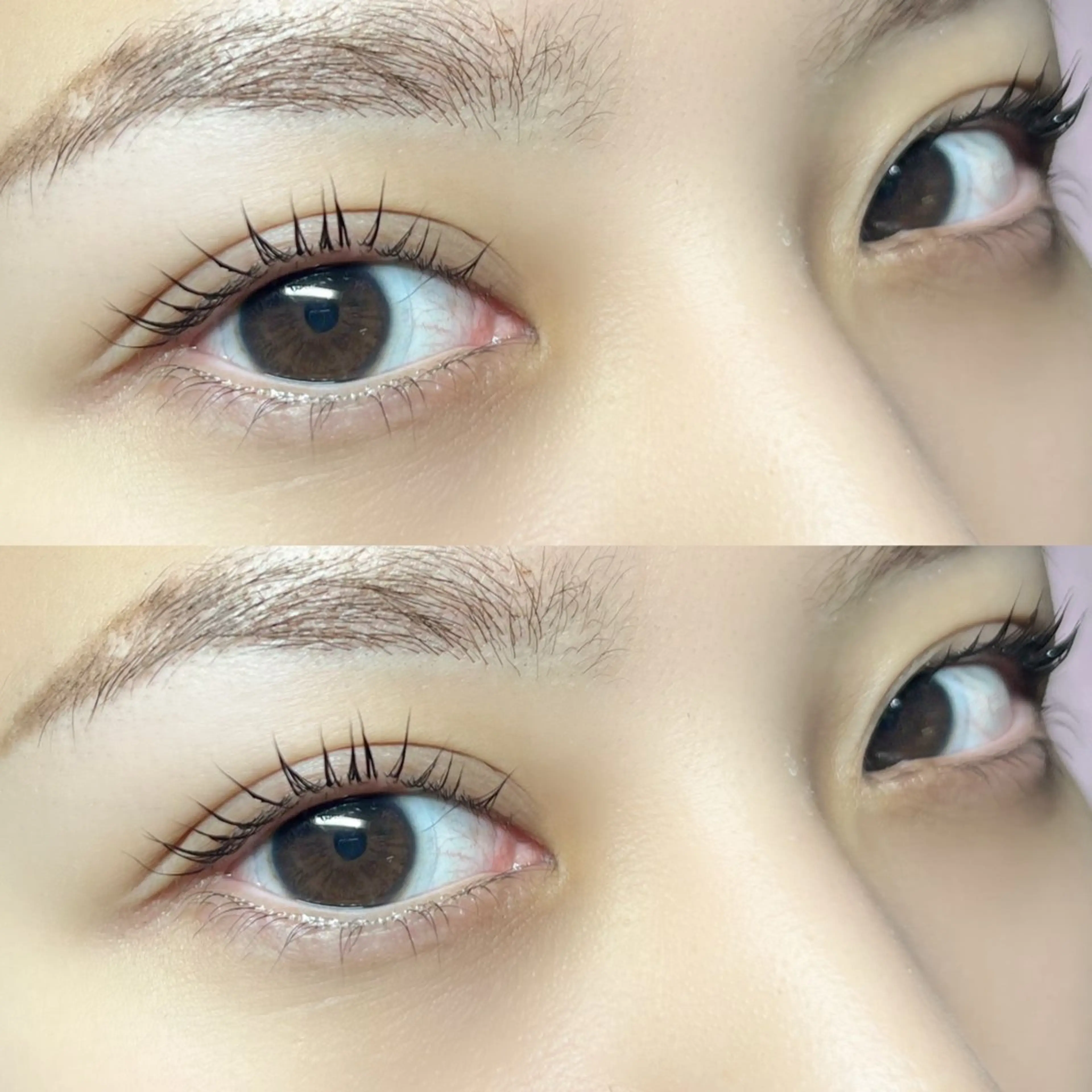 🇫🇷上＆下パリジェンヌラッシュリフト➕コーティング付🇫🇷の写真