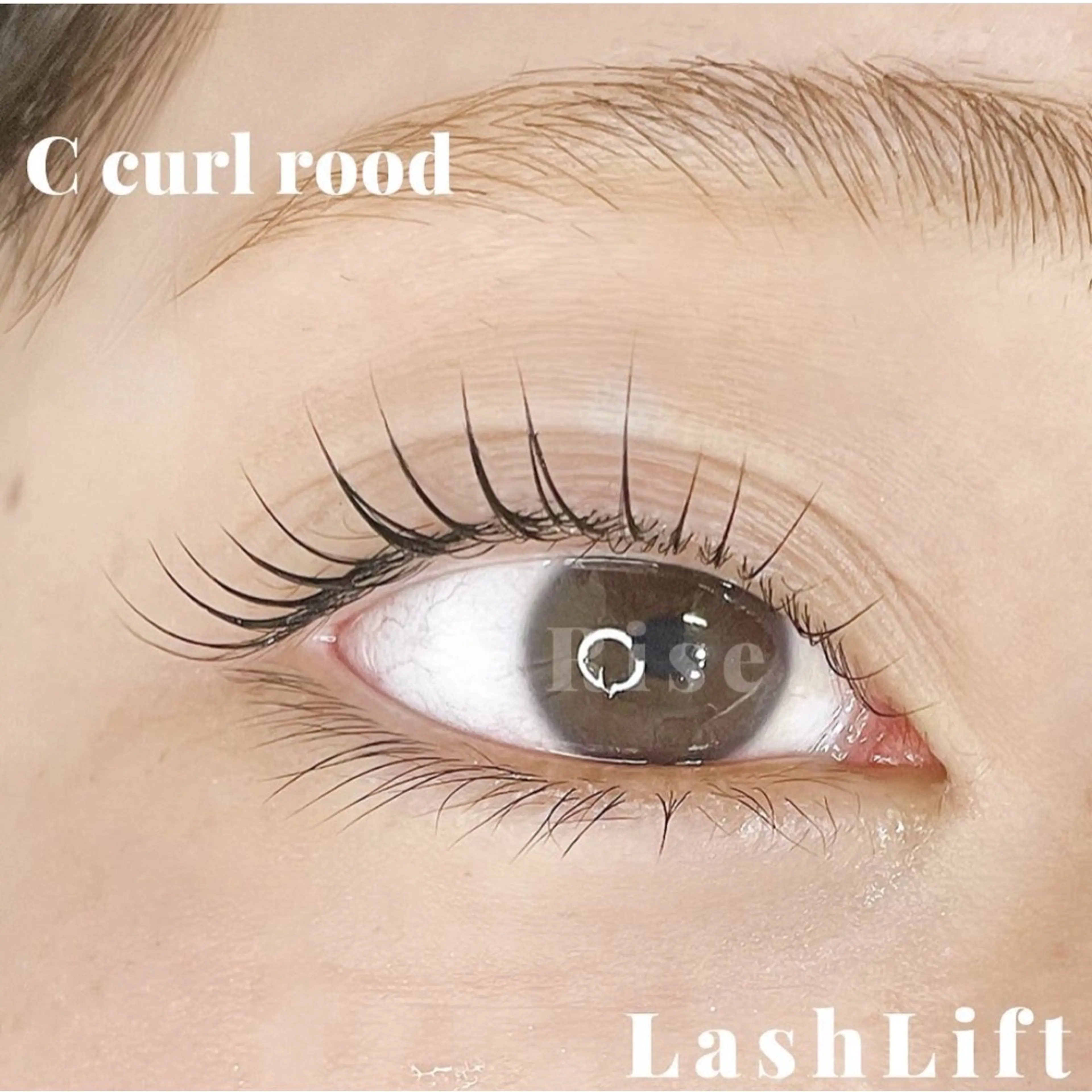 マツエク・マツパ Cカール ELRe RIKOのマツエク・マツパデザイン