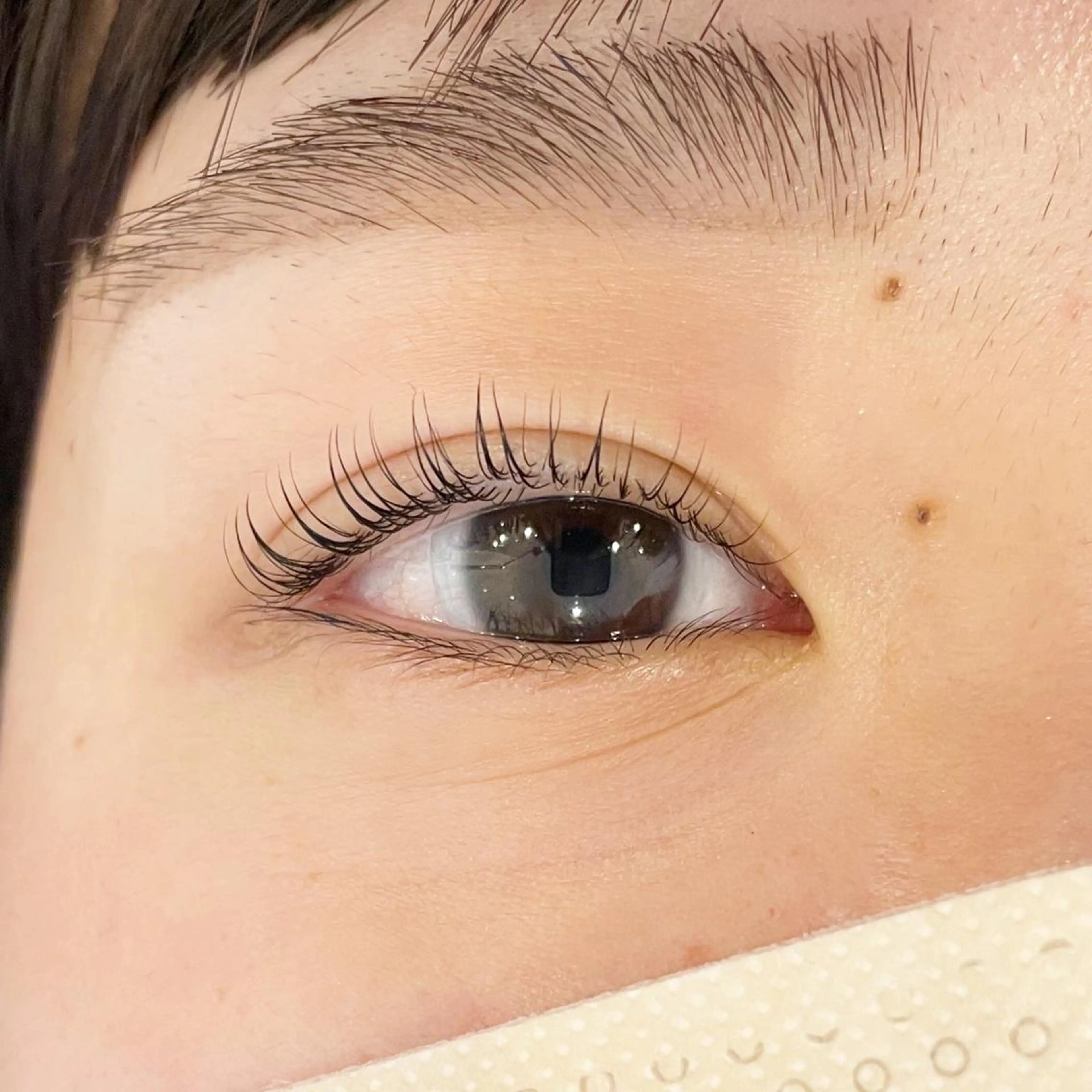 マツエク・マツパ Sakurablow 難波店　小嶋の眉毛・アイブロウイメージ