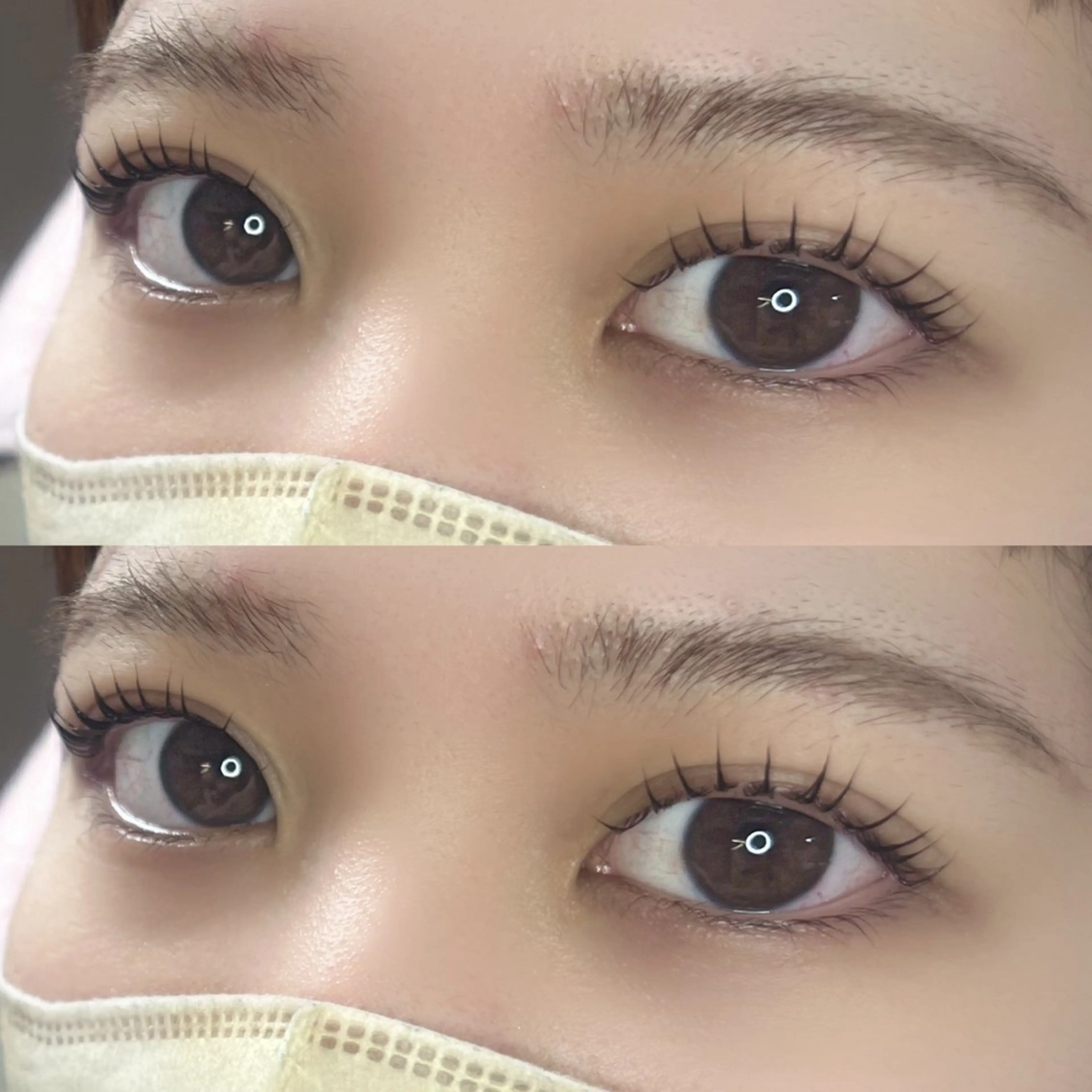 【🩵12月限定🩵】パリジェンヌラッシュリフト➕ケラチントリートメントの写真