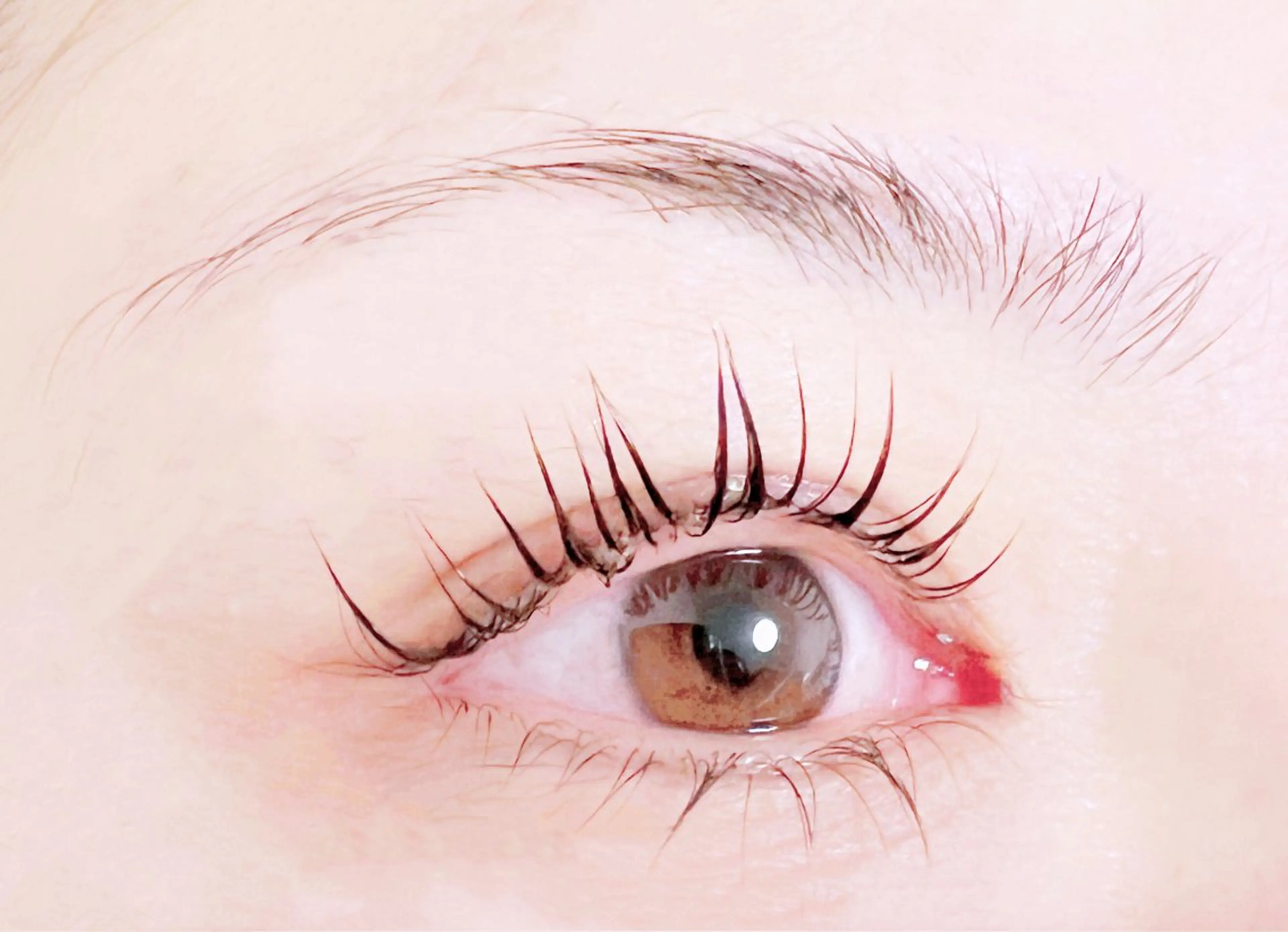 マツエク・マツパ Nel miwaのマツエク・マツパデザイン