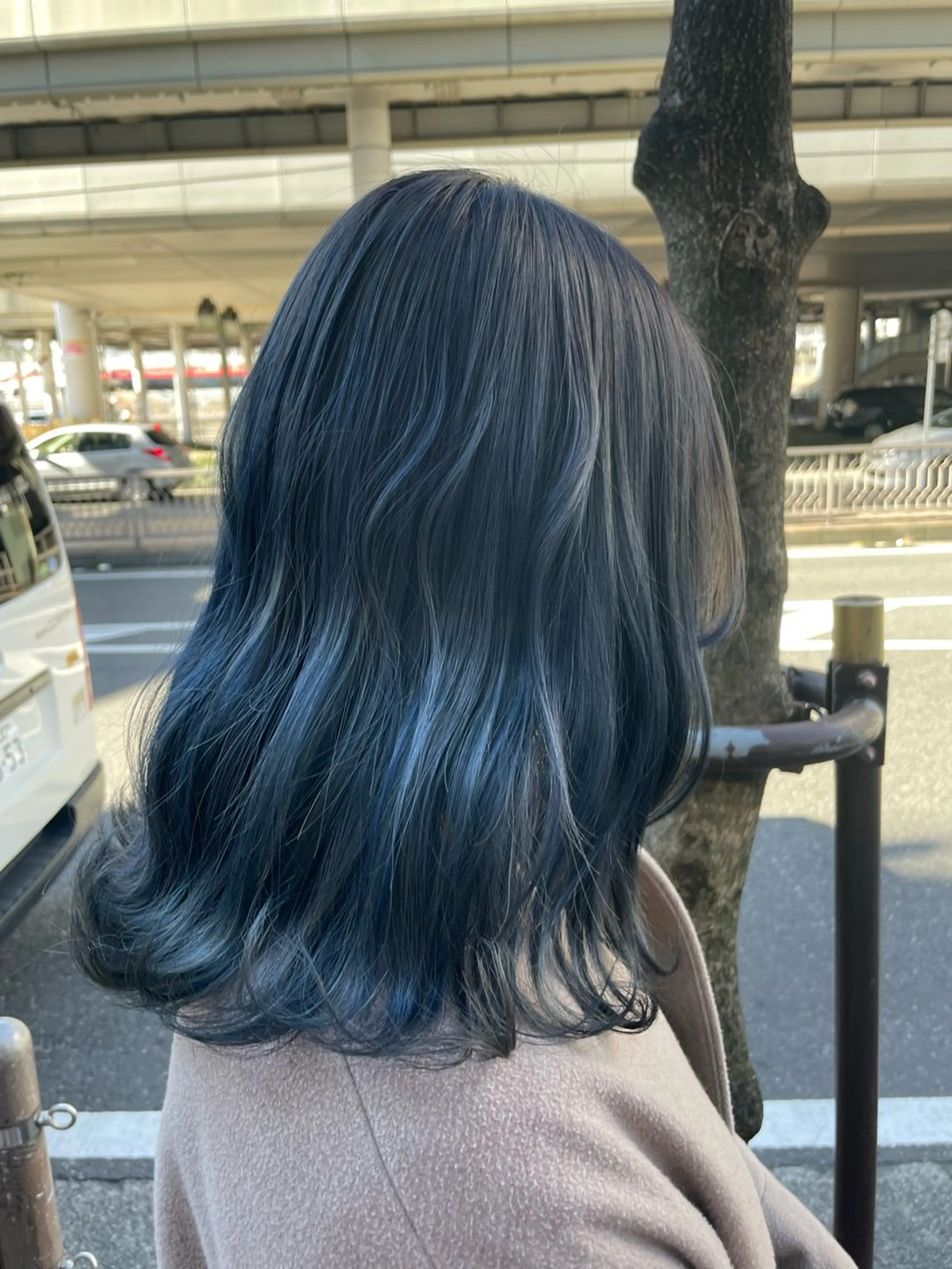 カラー ICHINA🦋寒色 /青髪/艶髪/大船のヘアスタイル