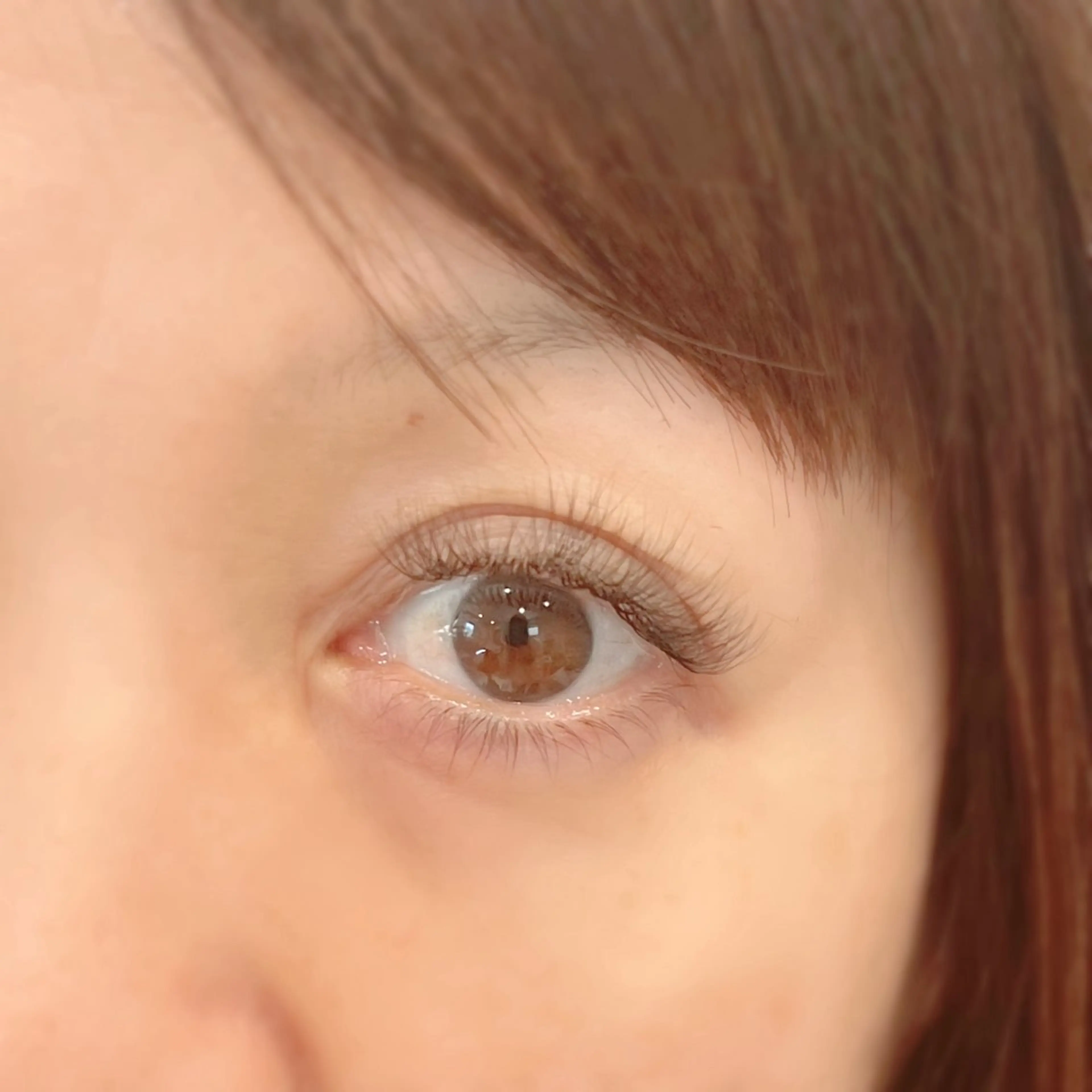 バインドロック　120束　¥6000の写真