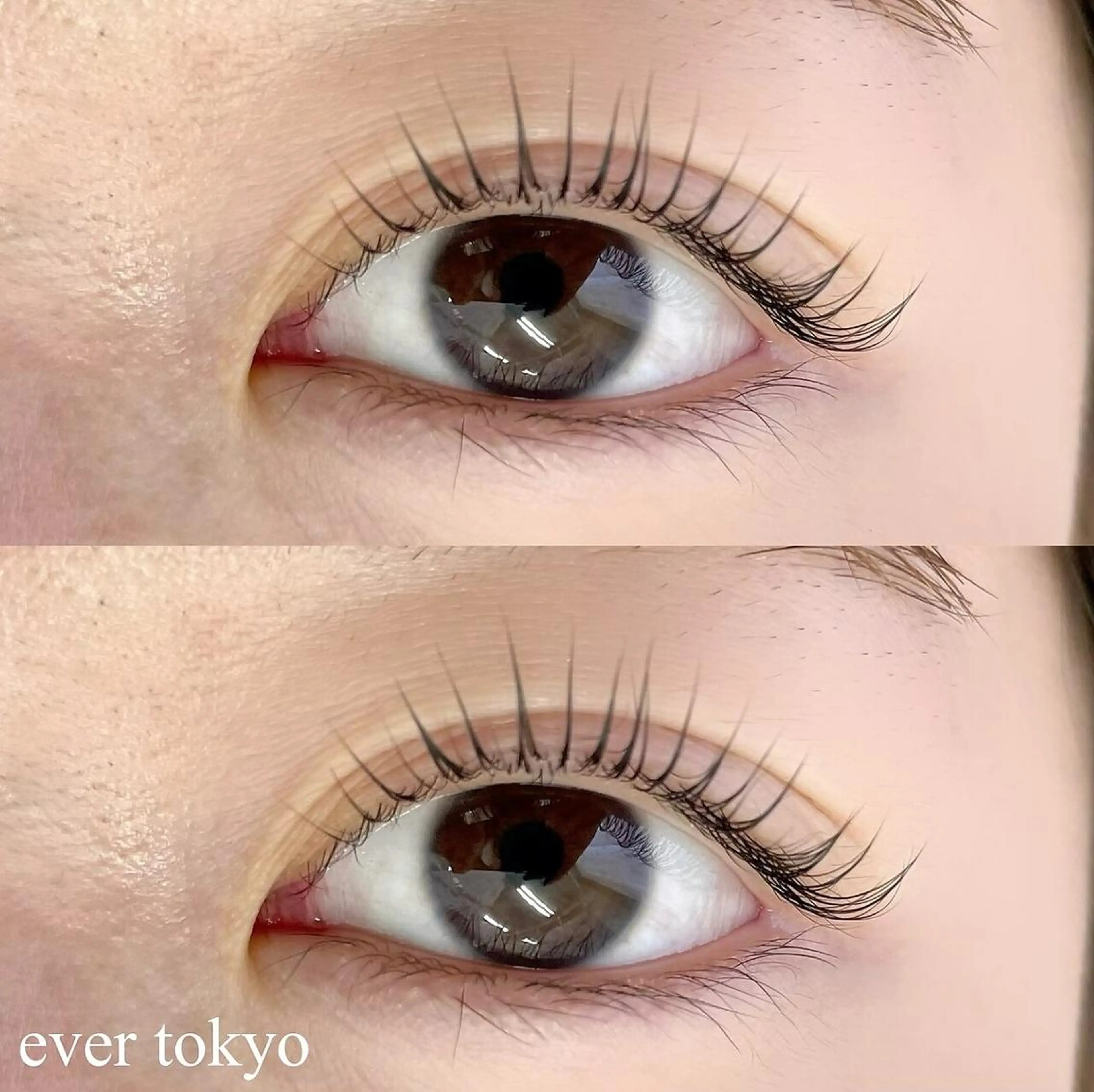 SNSで話題★メーテルロッド！（まつ毛パーマ）束感コーティング付！￥4800の写真