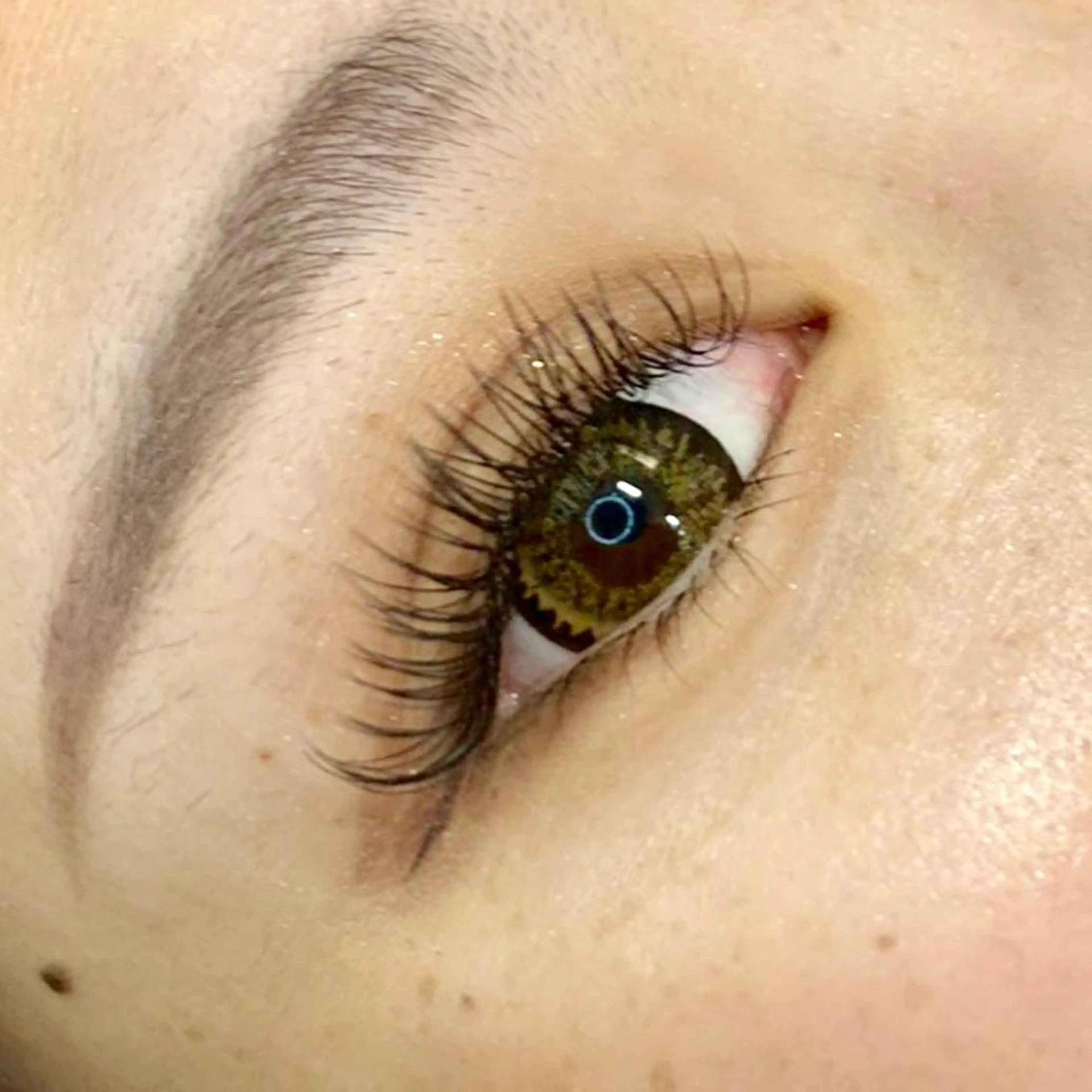 1/6(火)、1/8(木)数枠限定‼️120本50％オフ/フラットラッシュ/リペア可※シングルエクステの写真